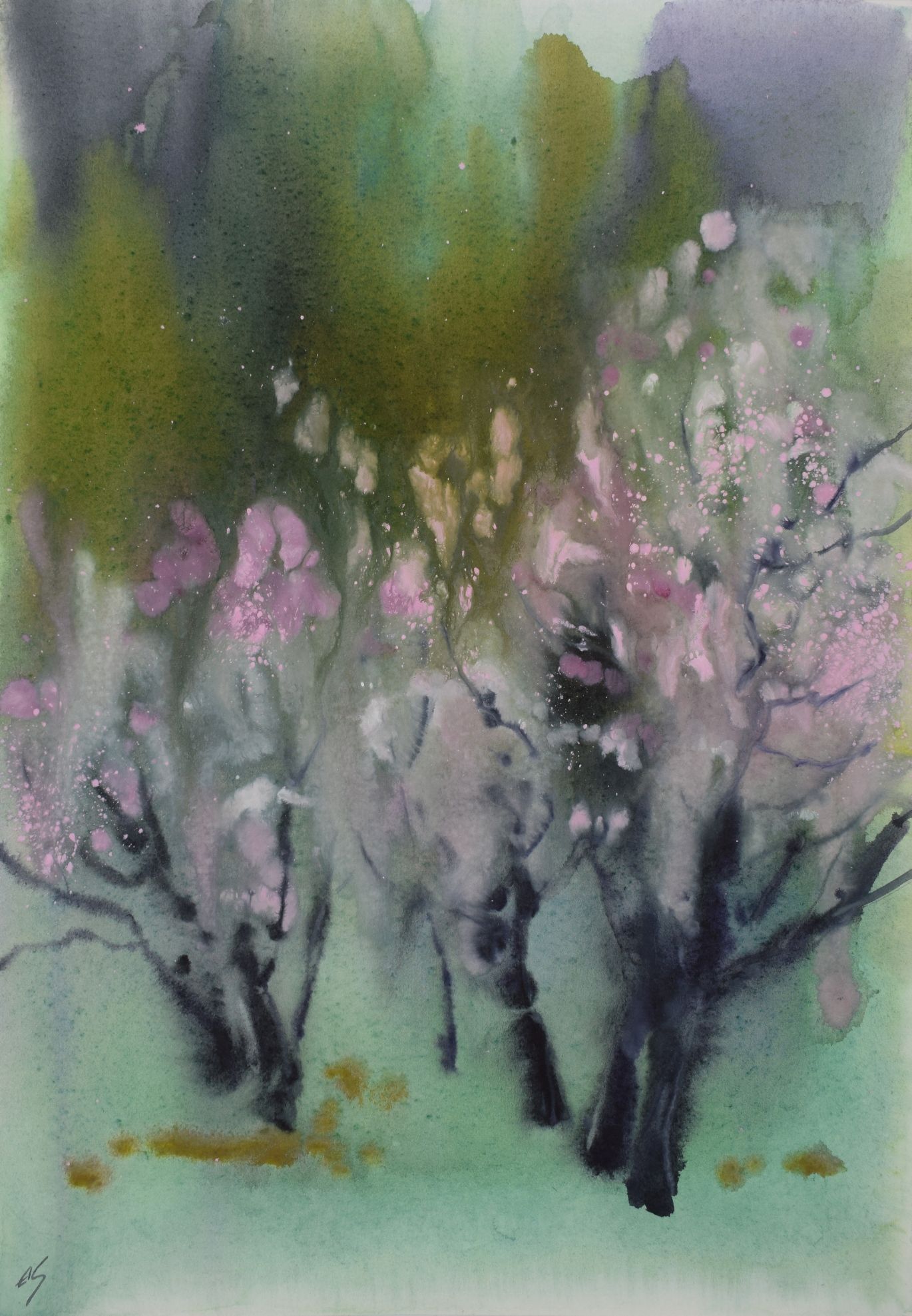 Елена Санина (Авторская графика - 
                  27 x 39 см) Старые яблони