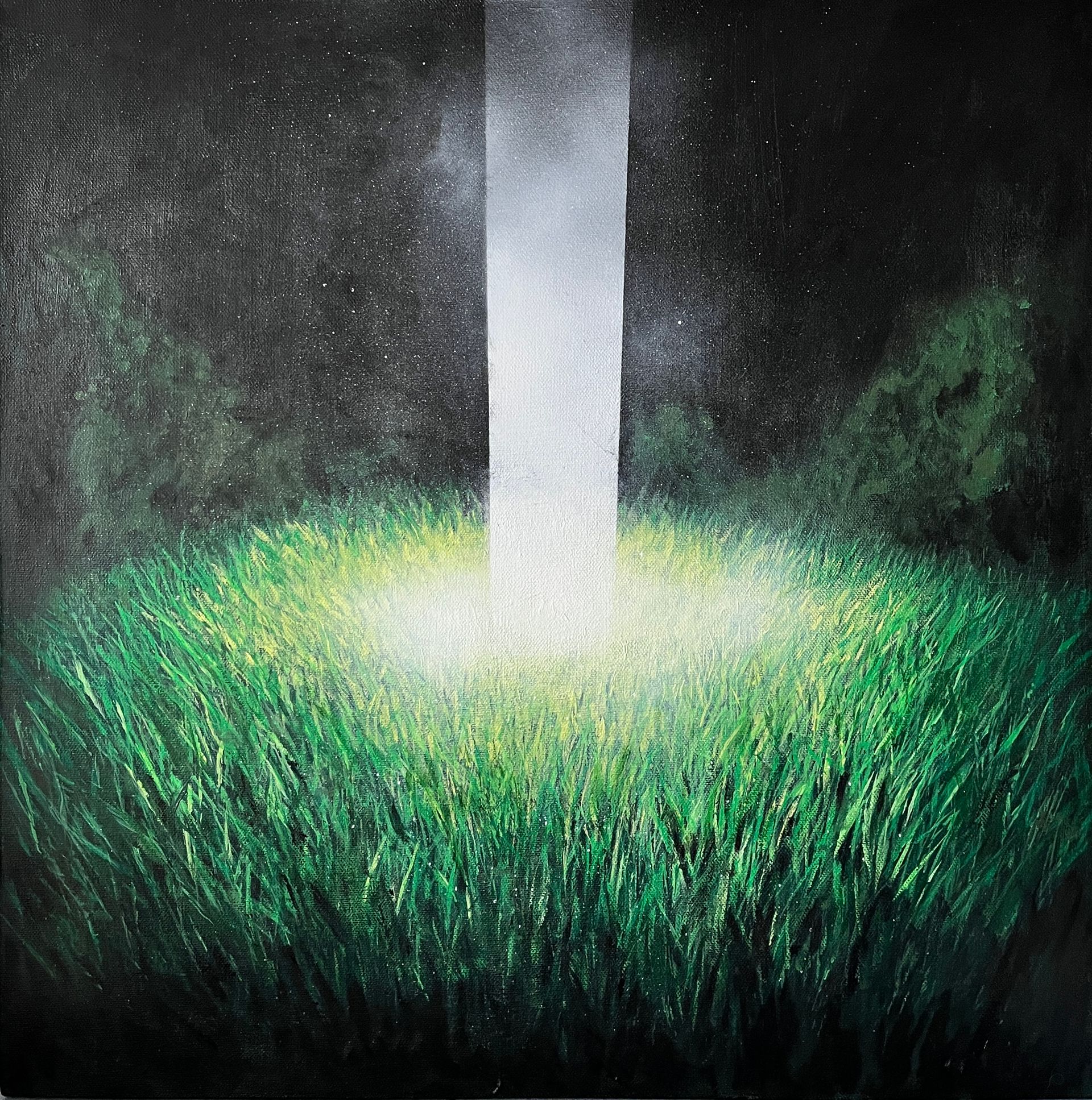 Евгения Мальцева (Картина, живопись - 
                  50 x 50 см) Маленькие зеленые вещи