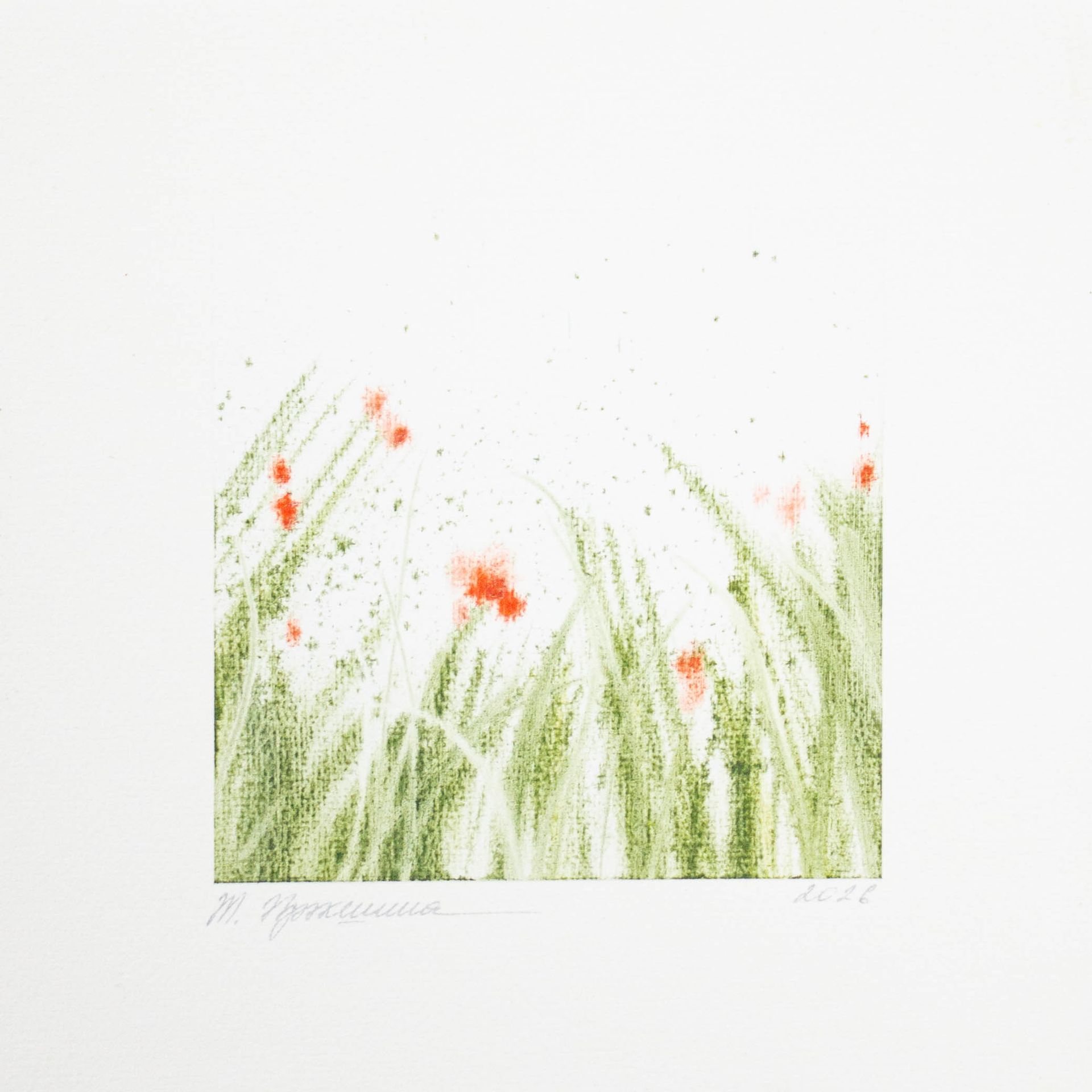 Татьяна Прокшина (Авторская графика - 
                  20 x 20 см) Алый (этюд)