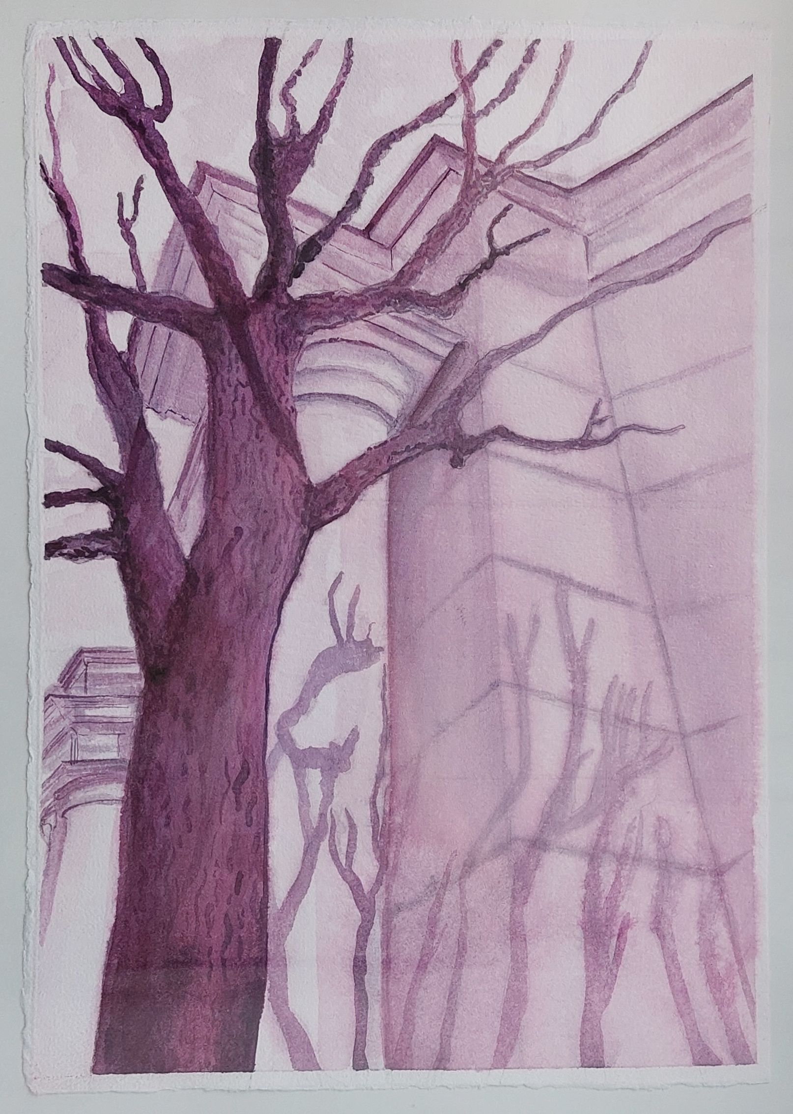 Оливия Лем (Авторская графика - 
                  25 x 35 см) Питер. Моно