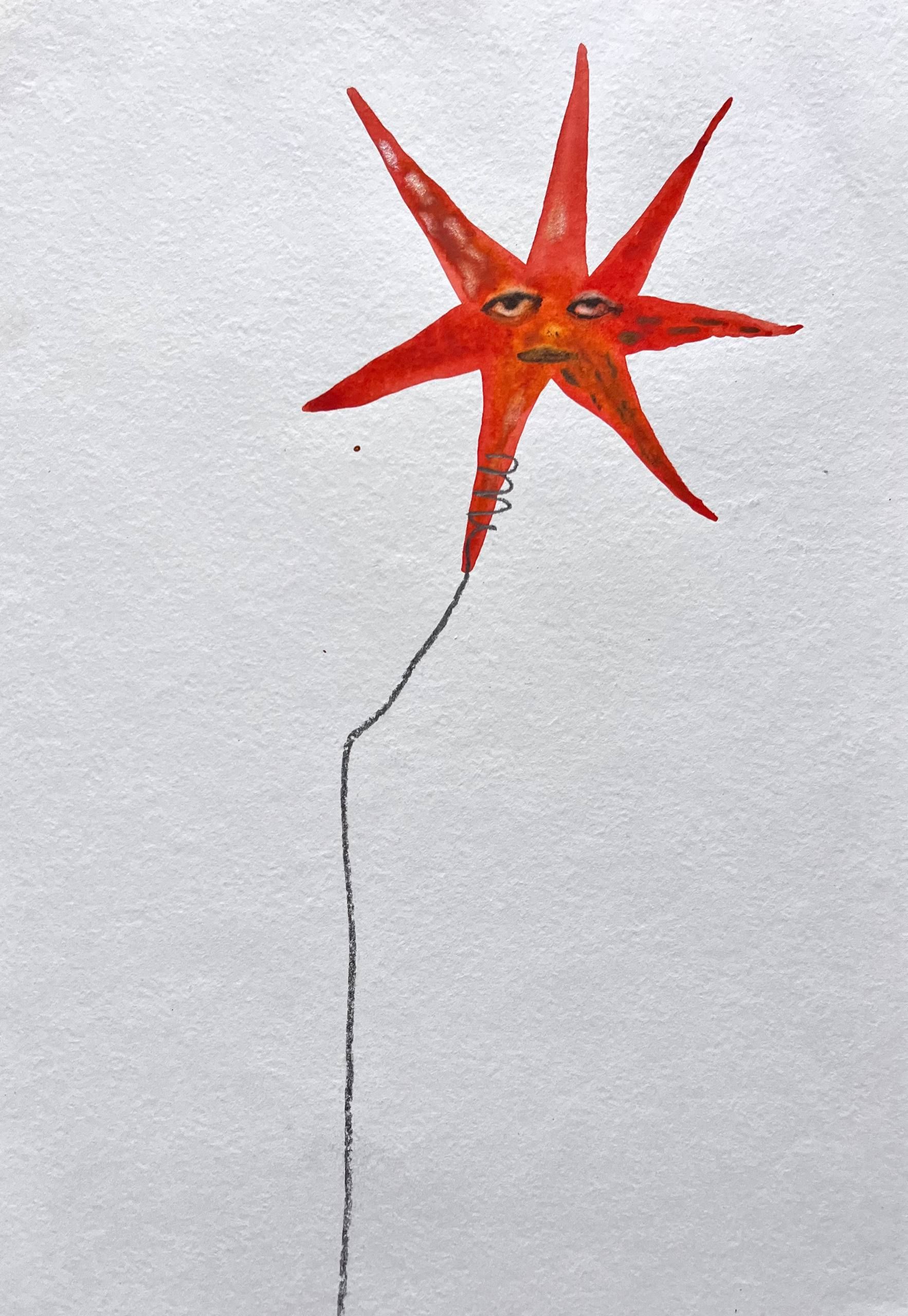 Лина Кордюченко (Авторская графика - 
                  20 x 30 см) Звездочка Красная Красивая