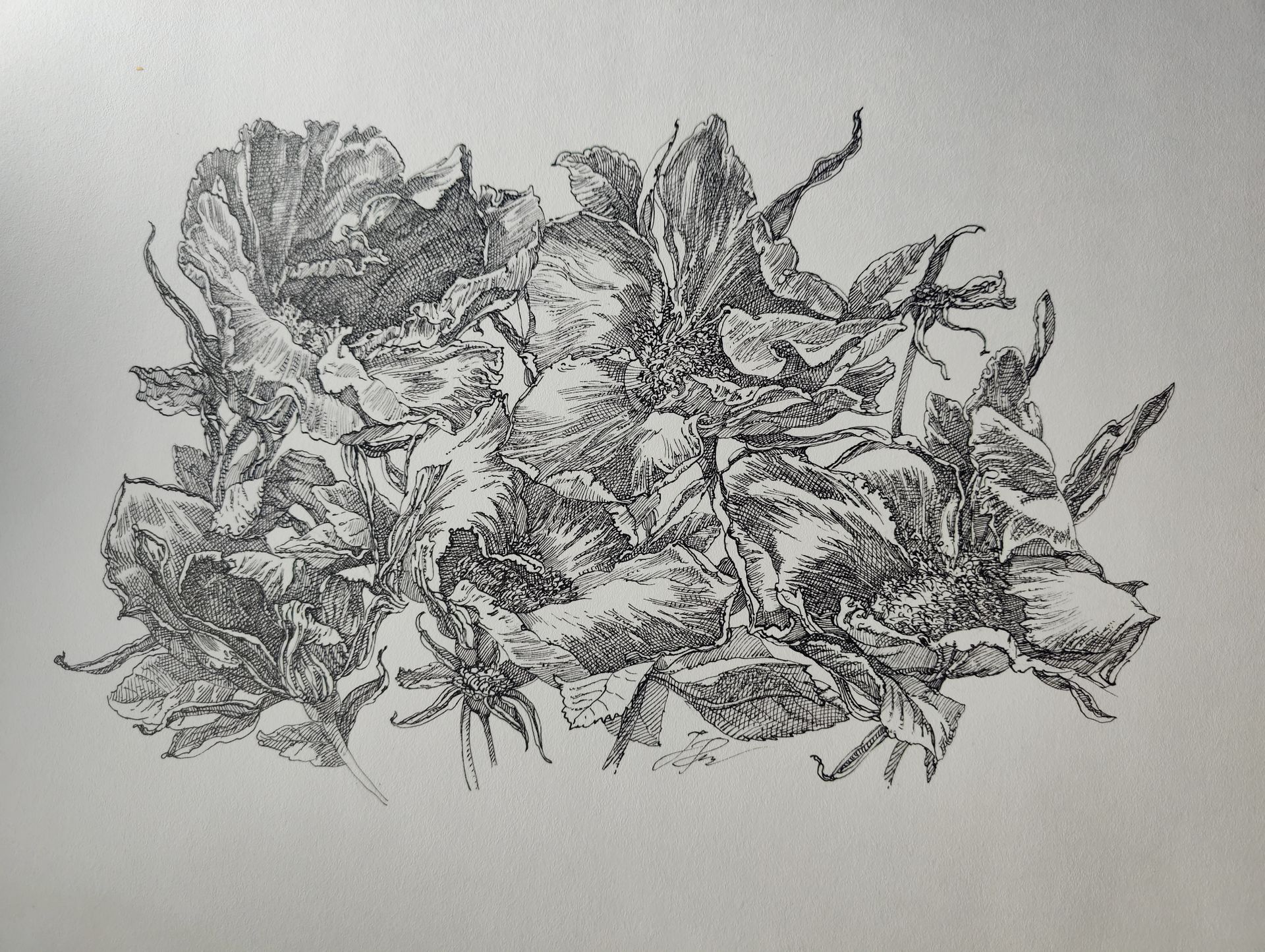 Наталия Рокотова (Авторская графика - 
                  38 x 30 см) Шиповник