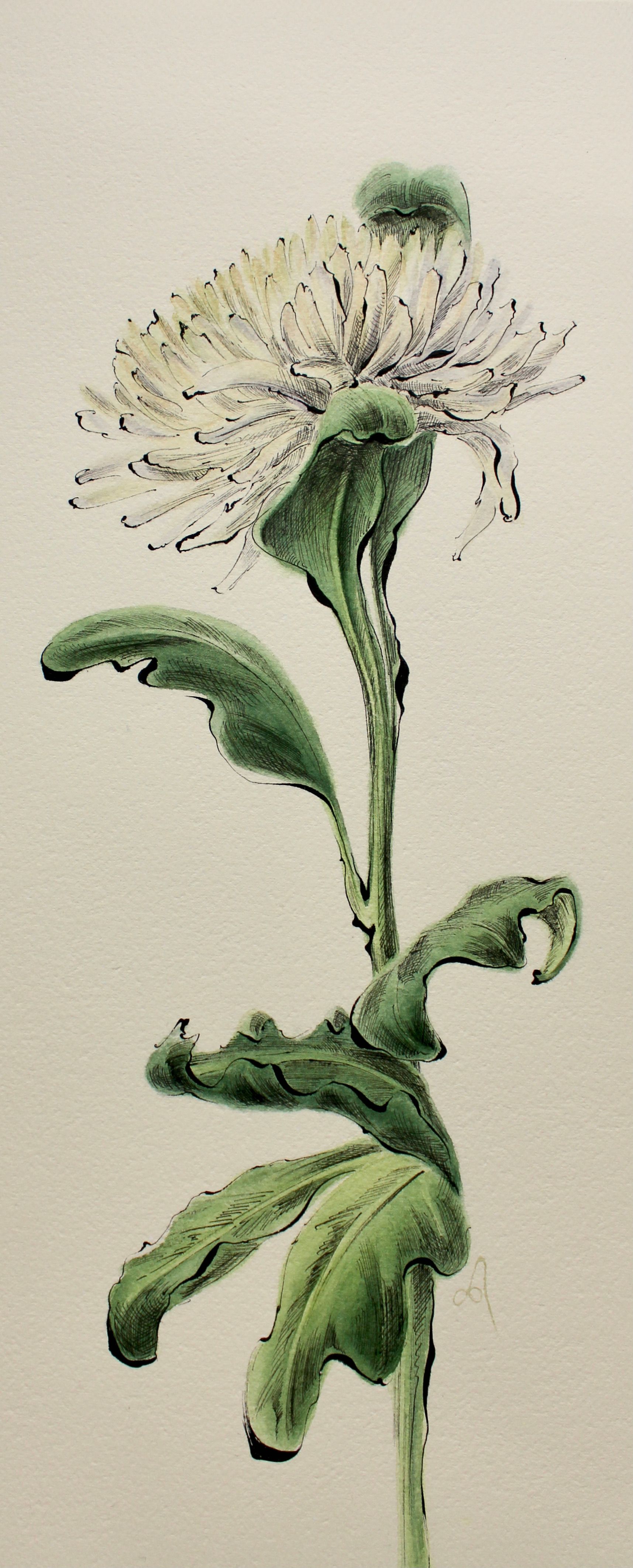Любовь Фонарева (Авторская графика - 
                  21.5 x 51.5 см) Chrysanthemum