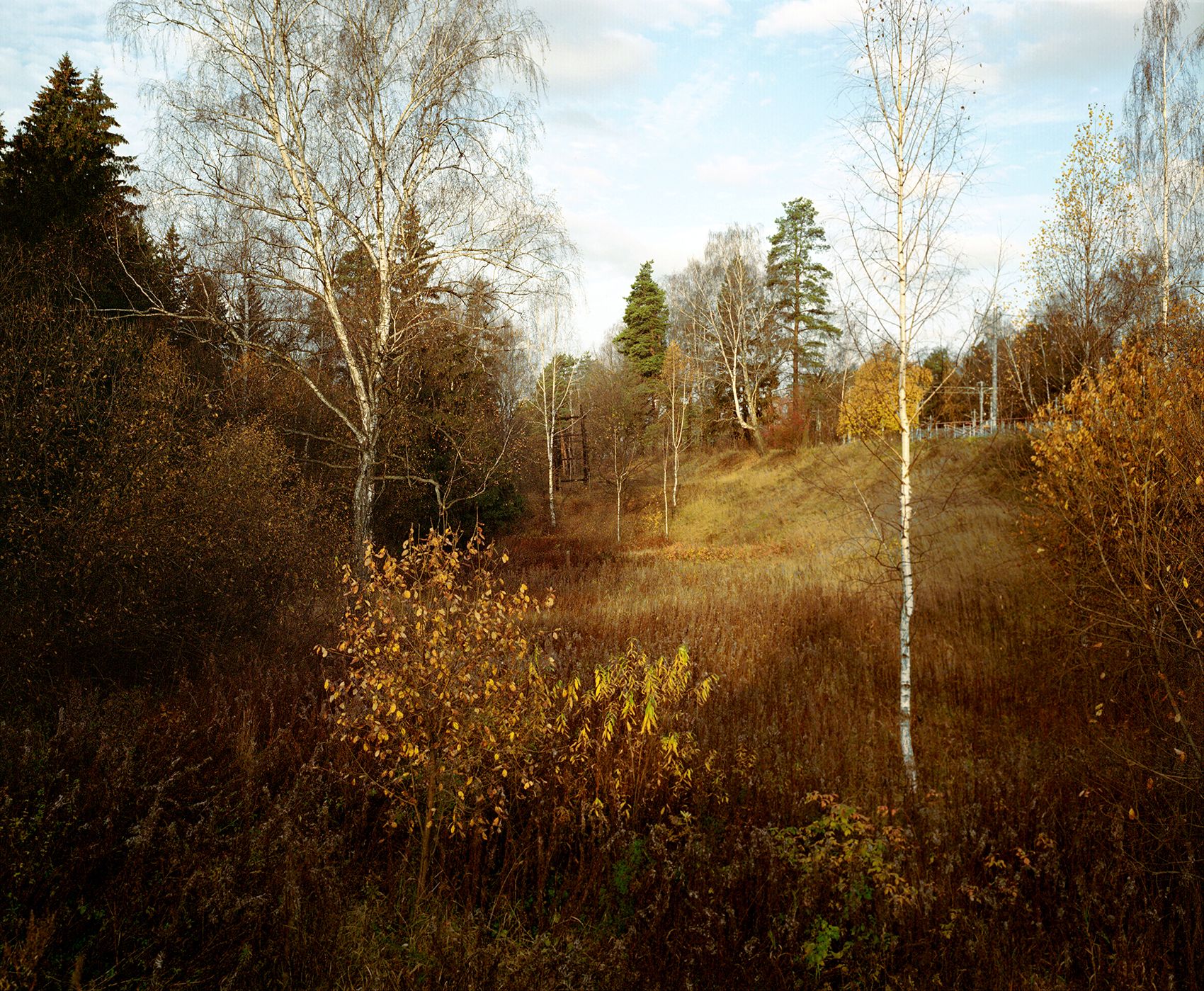 Евгений Гусаров (Фотография - 
                  40 x 50 см) Untitled II