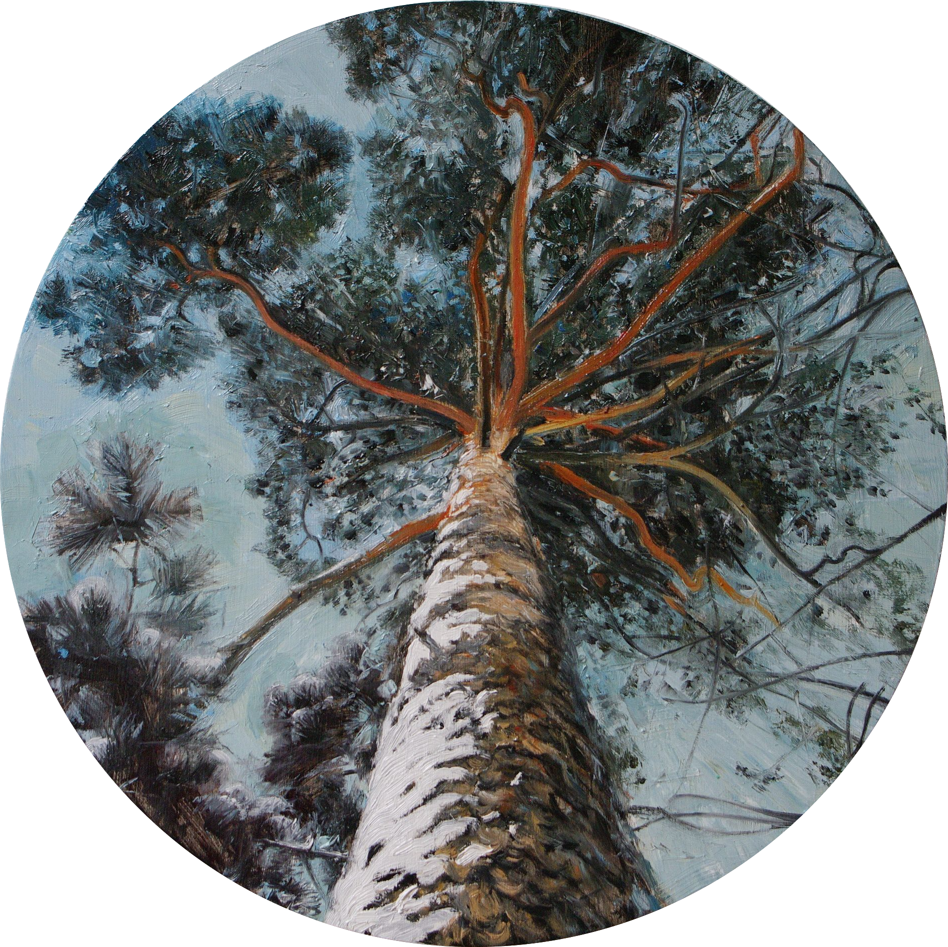 Алан Хатагты (Картина, живопись - 
                  35 x 35 см) В небо