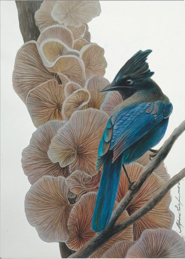 Екатерина Маркина (Авторская графика - 
                  35 x 50 см) Нюд