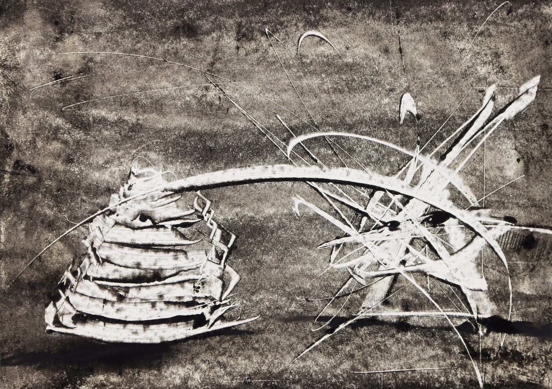 Дмитрий Василенко (Авторская графика - 
                  74 x 68 см) Две жизни