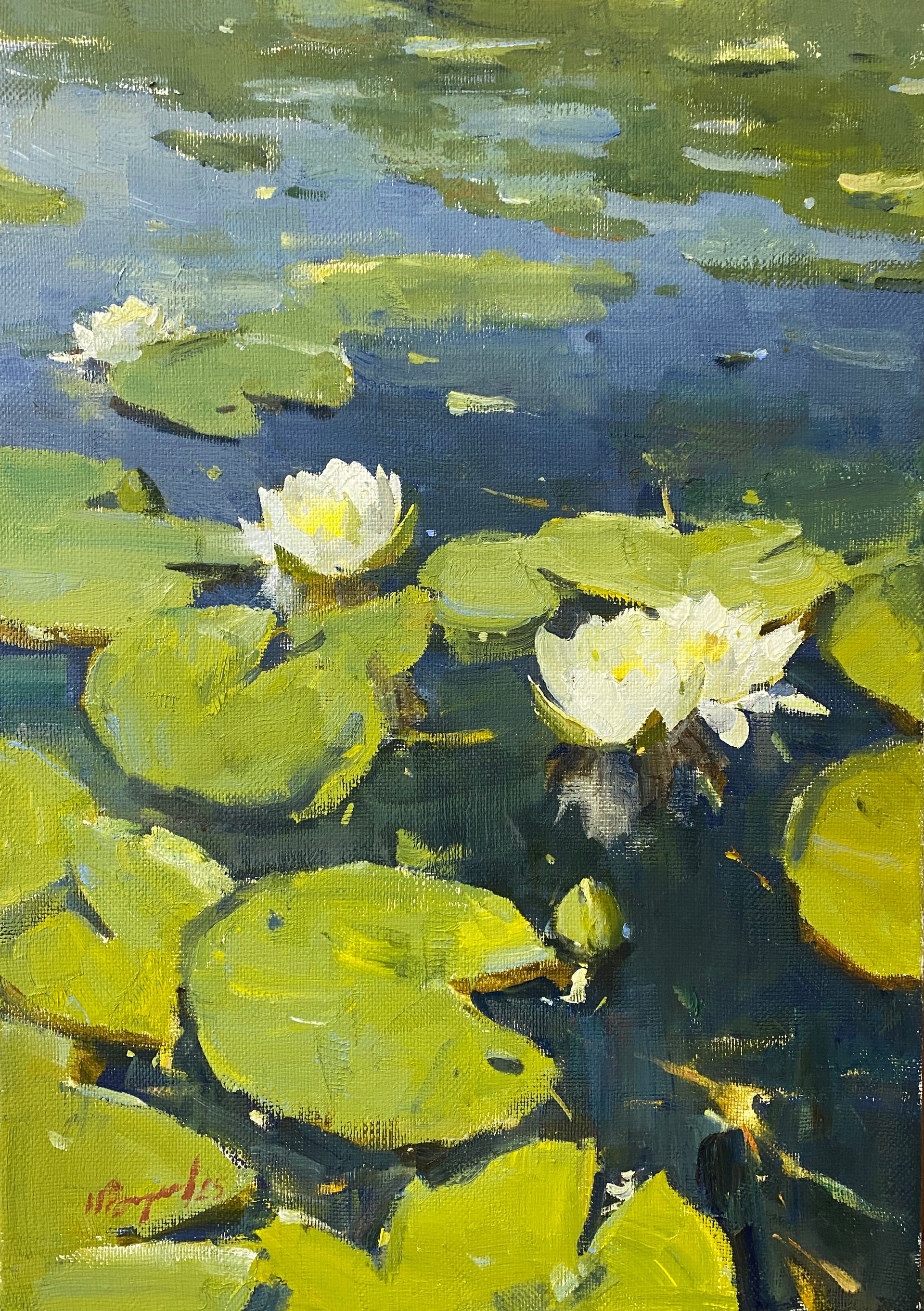 Надежда Воронцова (Картина, живопись - 
                  50 x 70 см) Нимфея