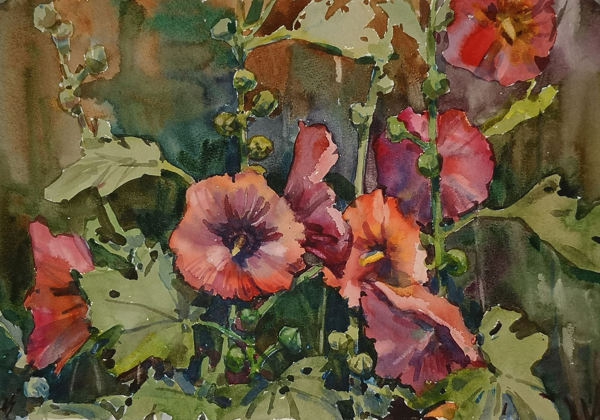 Елена Санина (Авторская графика - 
                  39 x 27 см) Мальвы