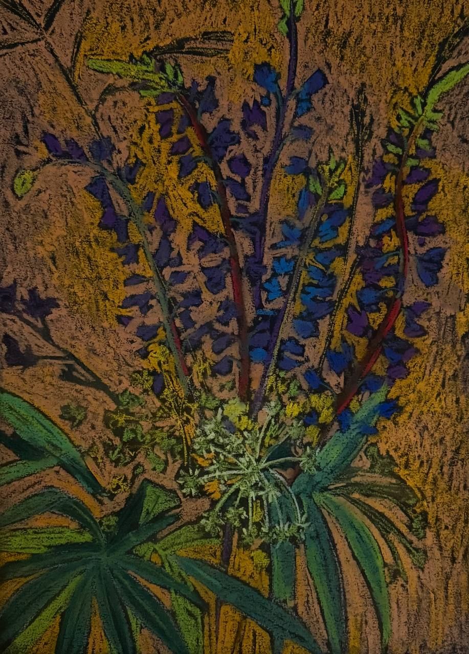 Алена Сокольникова (Авторская графика - 
                  29.5 x 40 см) Полевые цветы