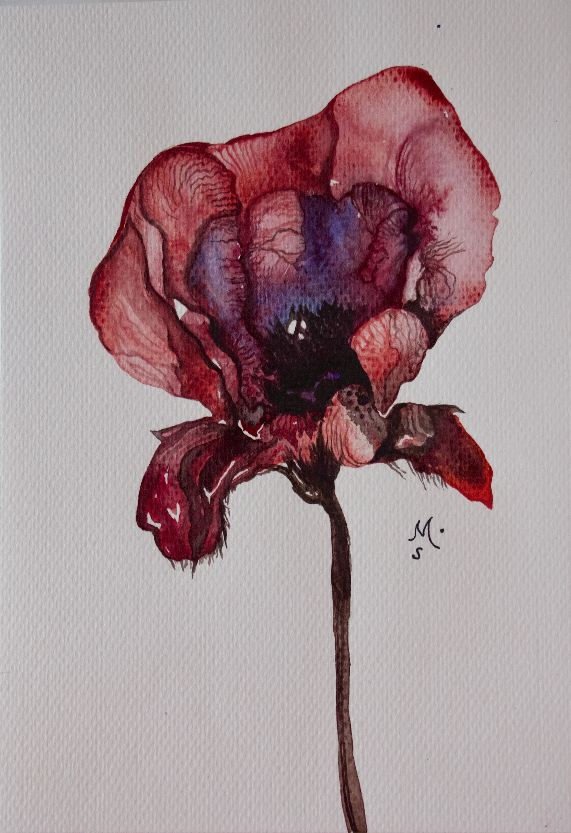 Анастасия Смольнякова (Авторская графика - 
                  19 x 27 см) Тайна