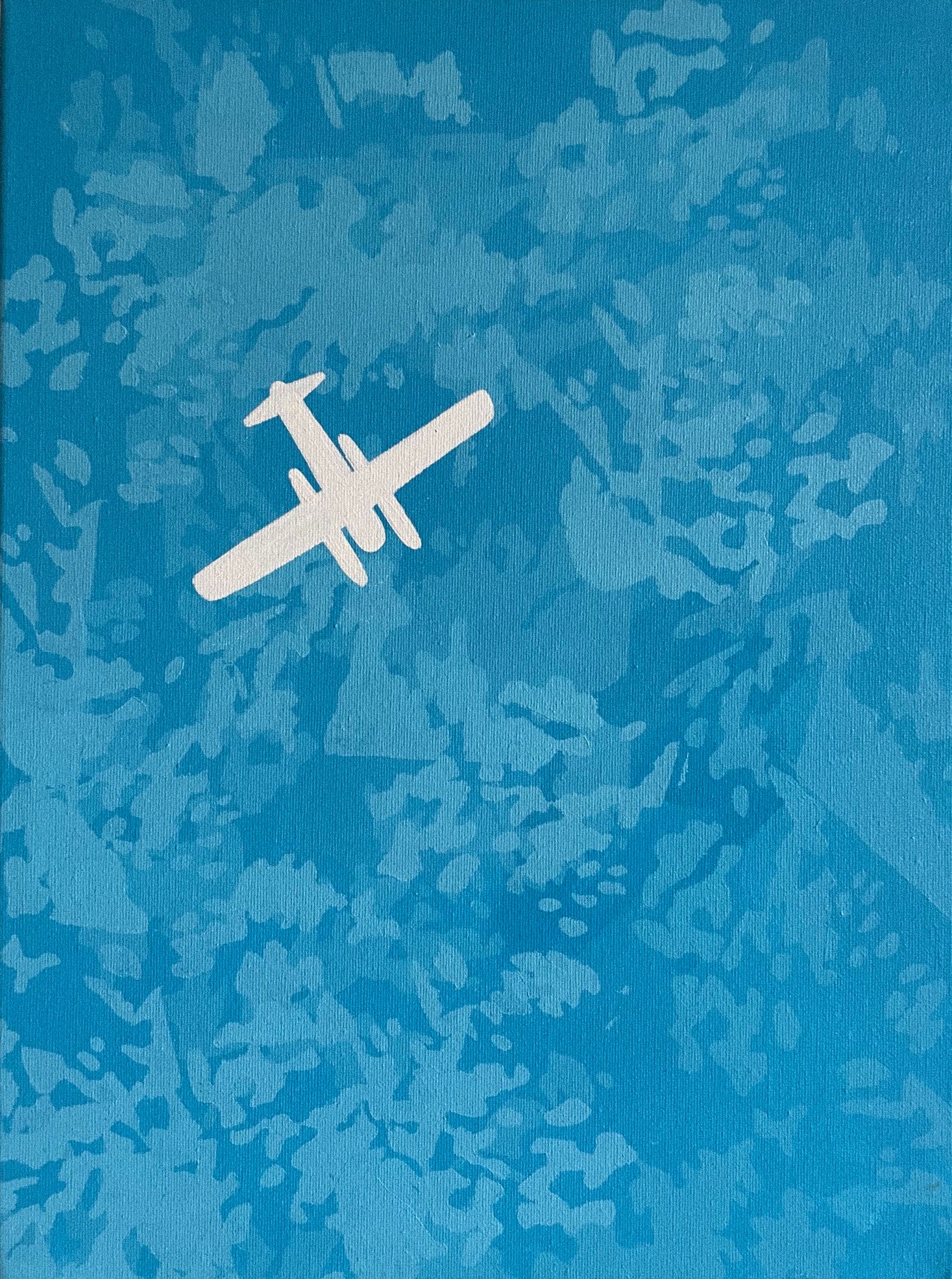 Виктория Никулочкина (Картина, живопись - 
                  30 x 40 см) Самолет 2