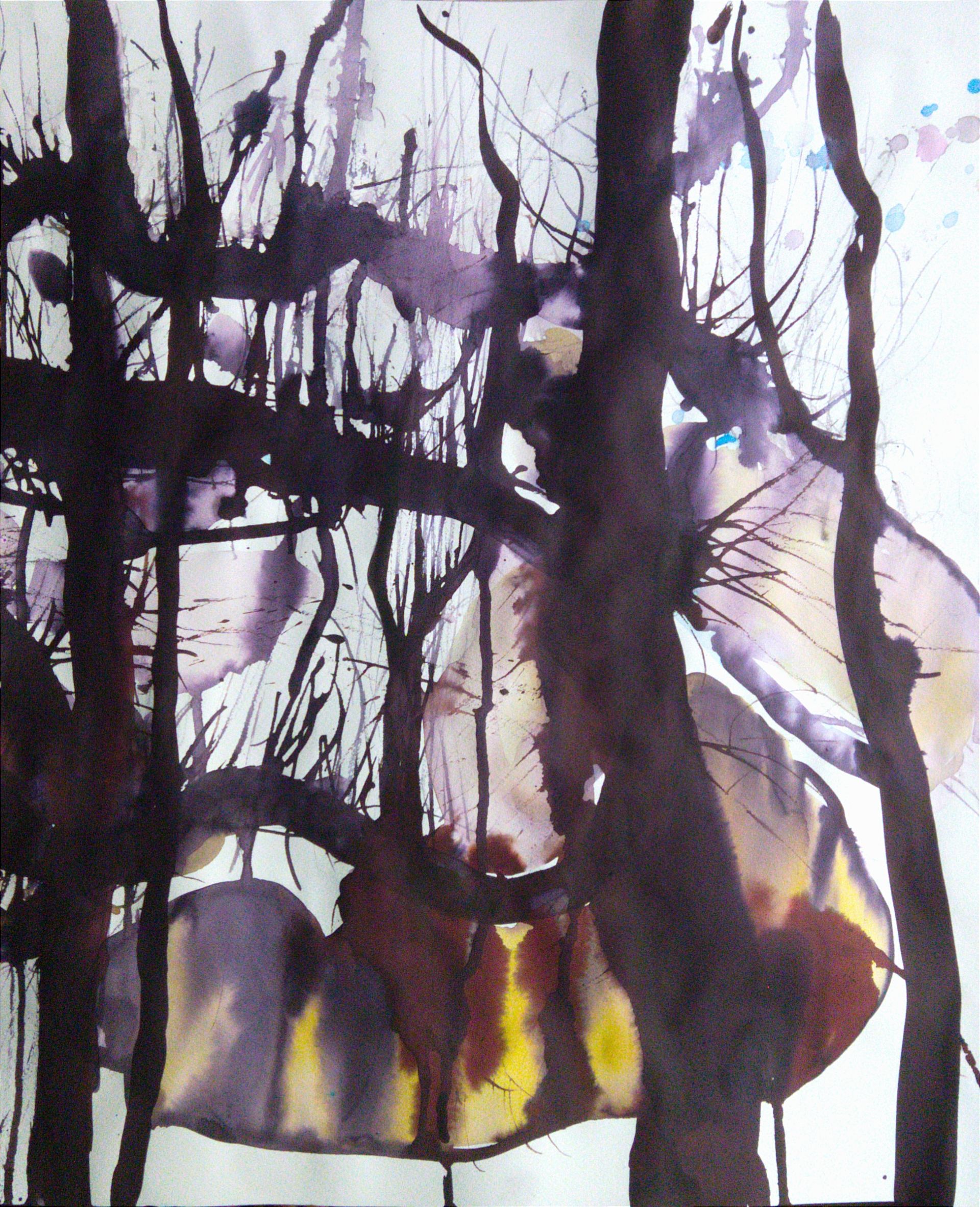 Людмила Кылыч (Авторская графика - 
                  42 x 52 см) Сливовое озеро