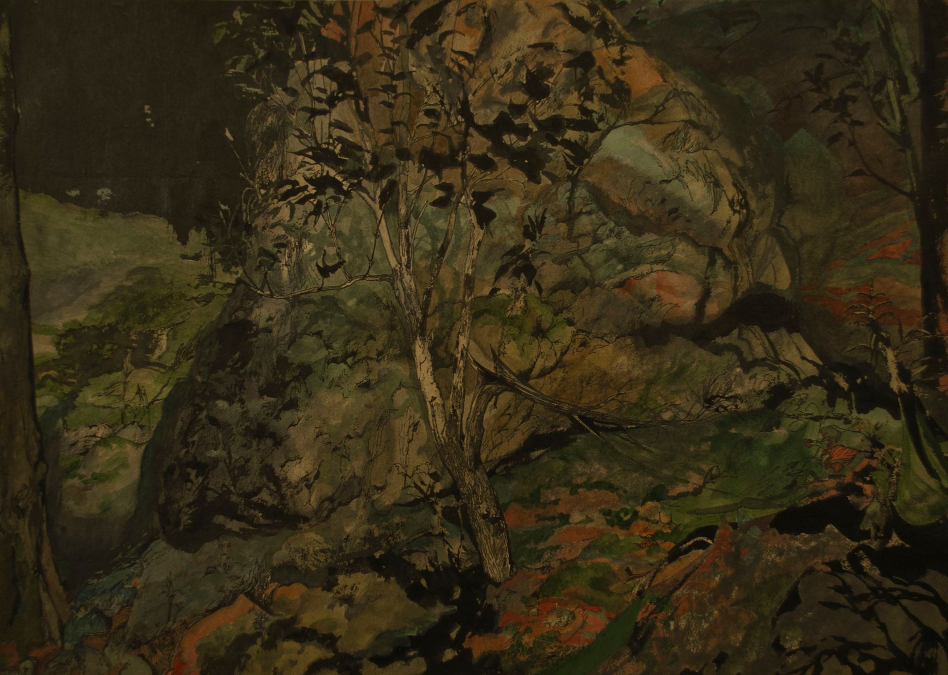 Михаил Левиус (Авторская графика - 
                  42 x 29.7 см) Водопад (правая часть)