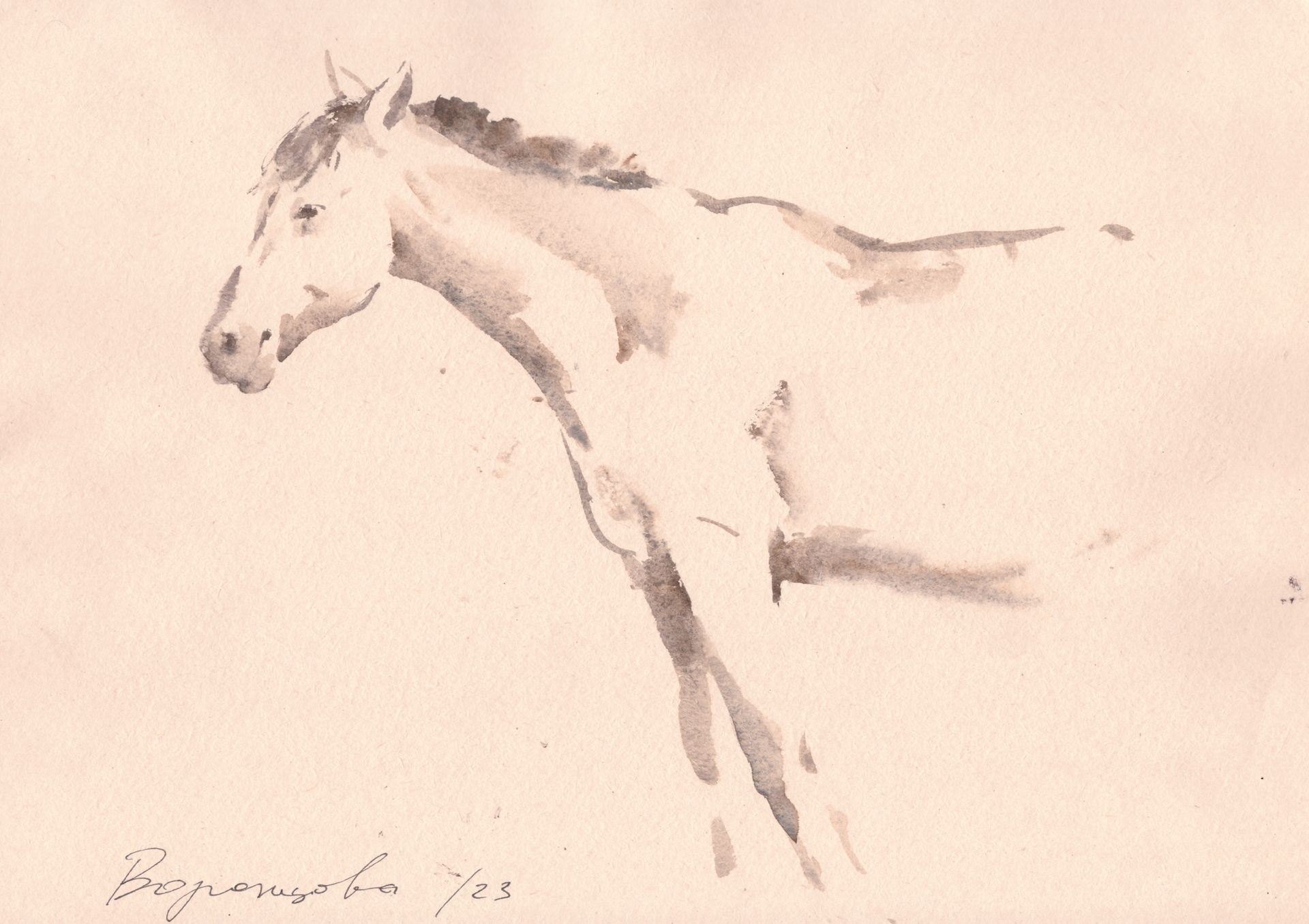 Надежда Воронцова (Авторская графика - 
                  30 x 22 см) Дымка воспоминаний