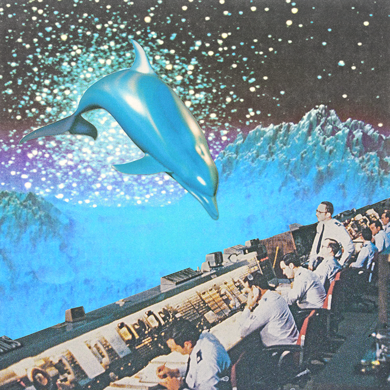 Филипп Игумнов (Картина, живопись - 
                  50 x 50 см) Cosmic dolphin