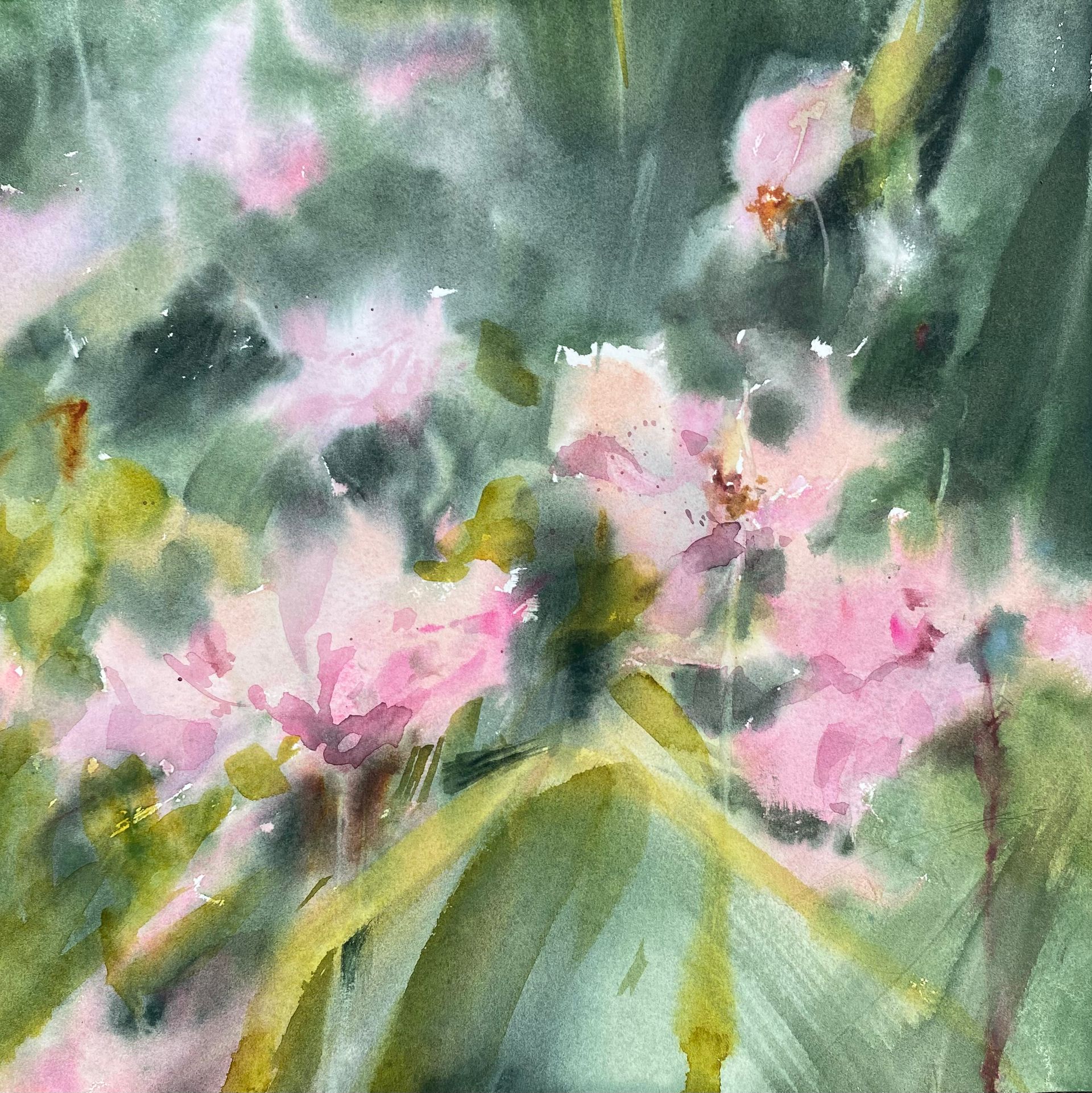 Анна Богинская (Авторская графика - 
                  32 x 32 см) Дикие розы 2