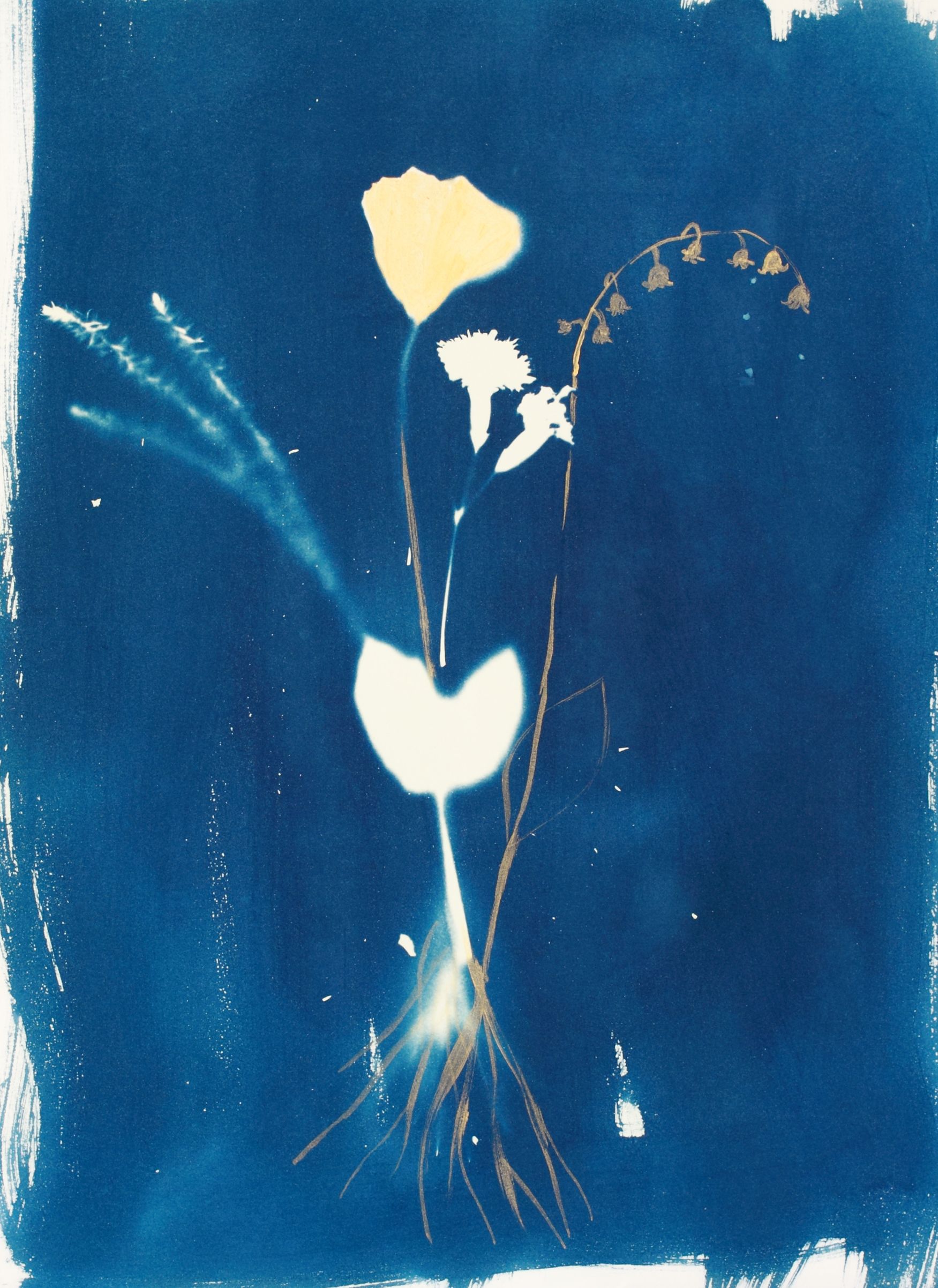 Дарья Парий (Авторская графика - 
                  28 x 38 см) Гвоздика Leningrado