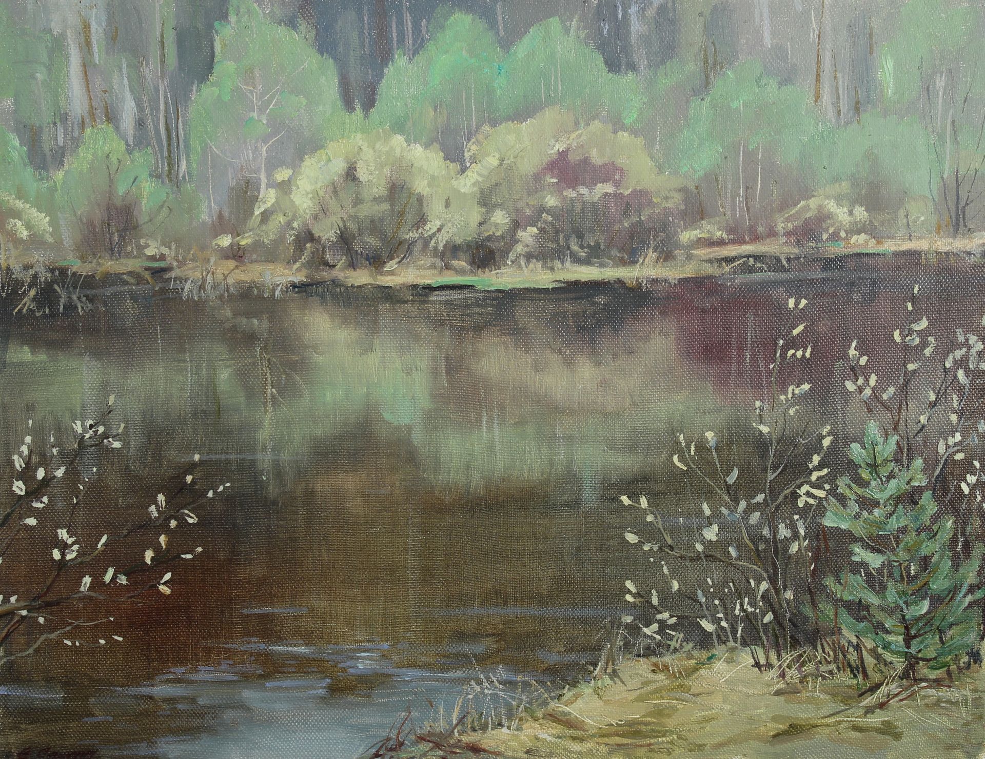 Елена Санина (Картина, живопись - 
                  45 x 35 см) Верба цветет