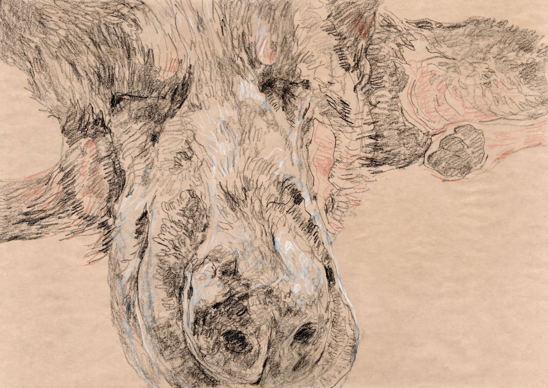 Саша Медведева (Авторская графика - 
                  42 x 30 см) Сладкий сон