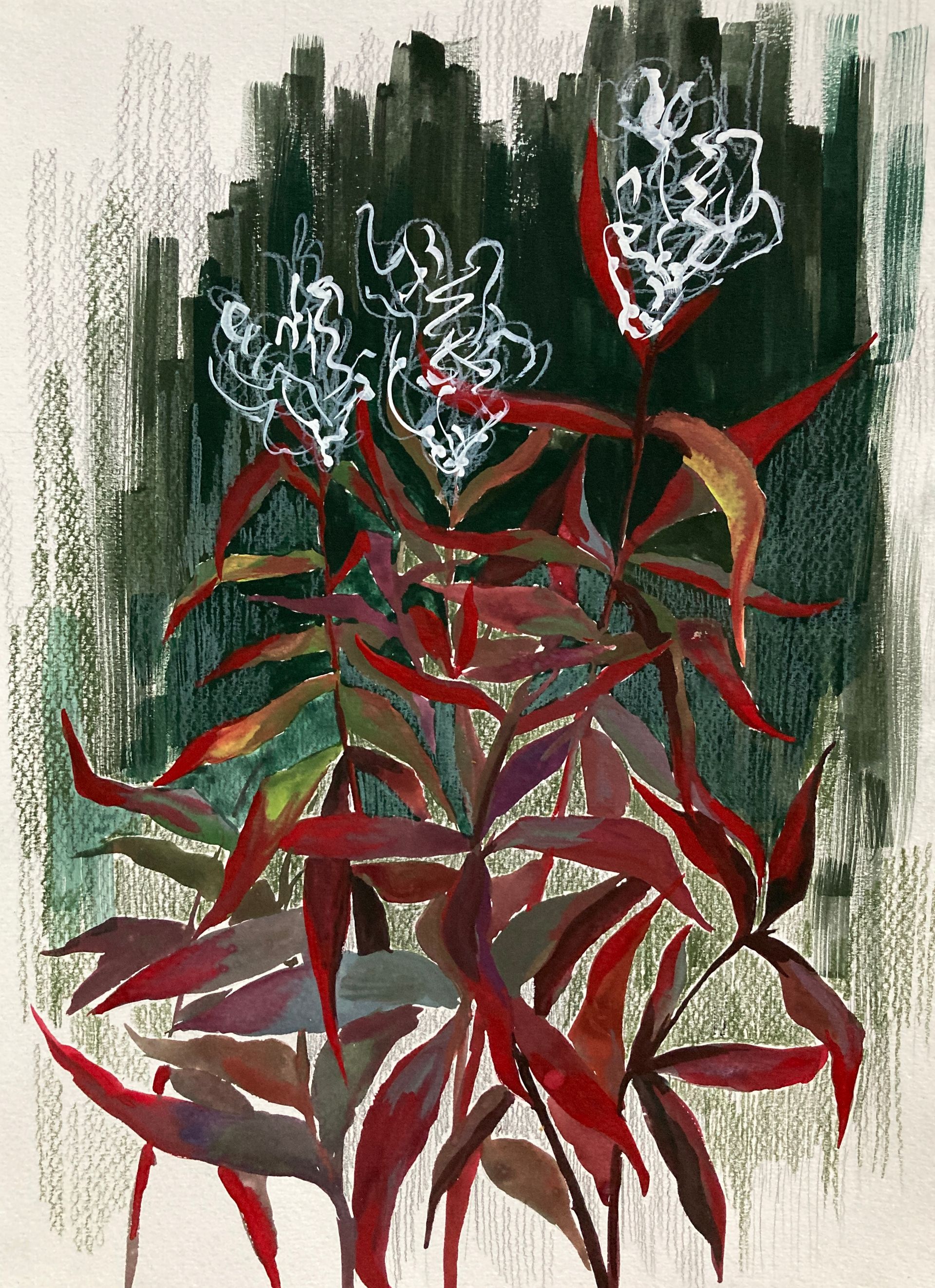 Валерия Головенкина (Авторская графика - 
                  30 x 40 см) Травы #1