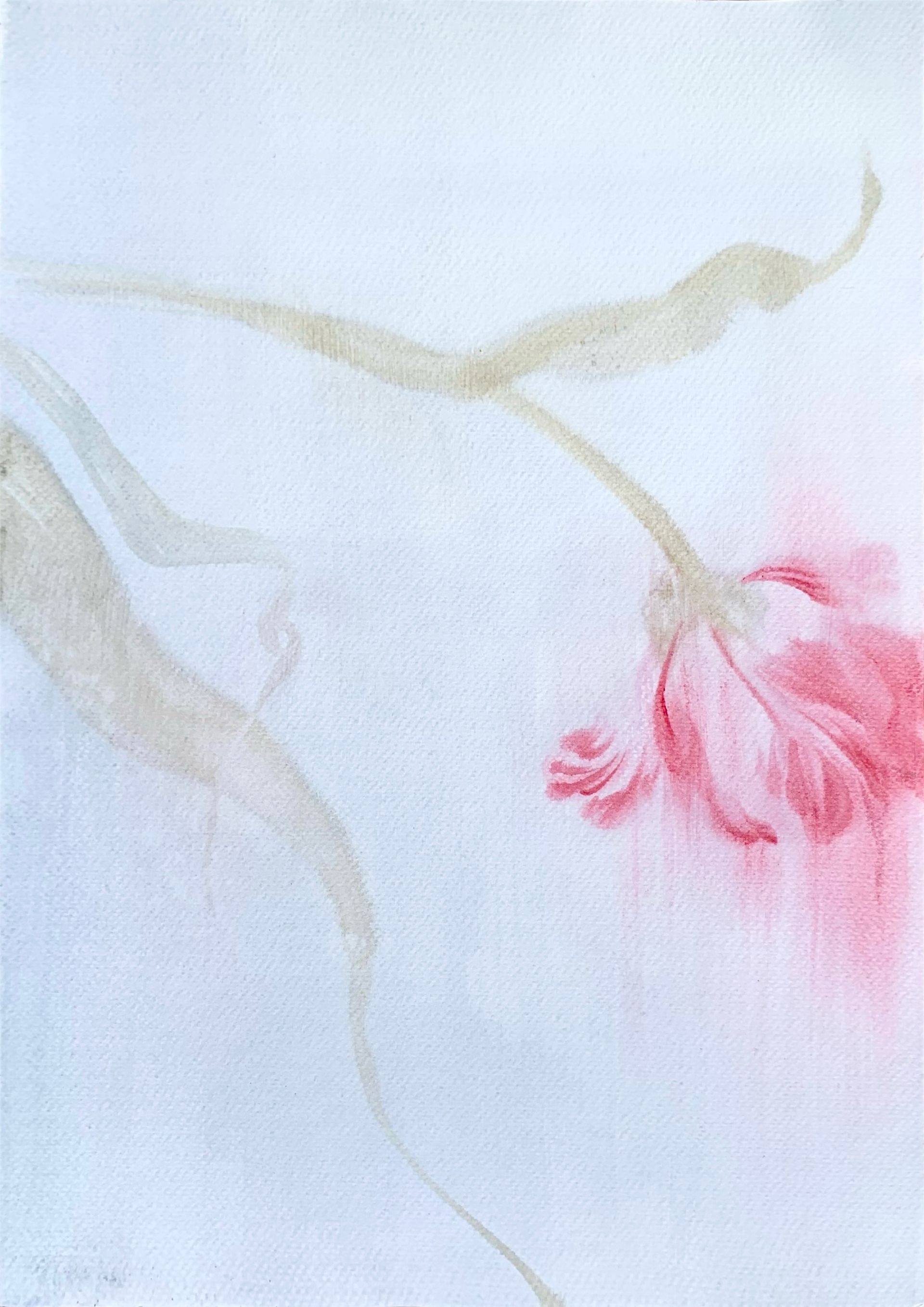 Ульяна Соловей (Авторская графика - 
                  40 x 50 см) Лист / тюльпан I