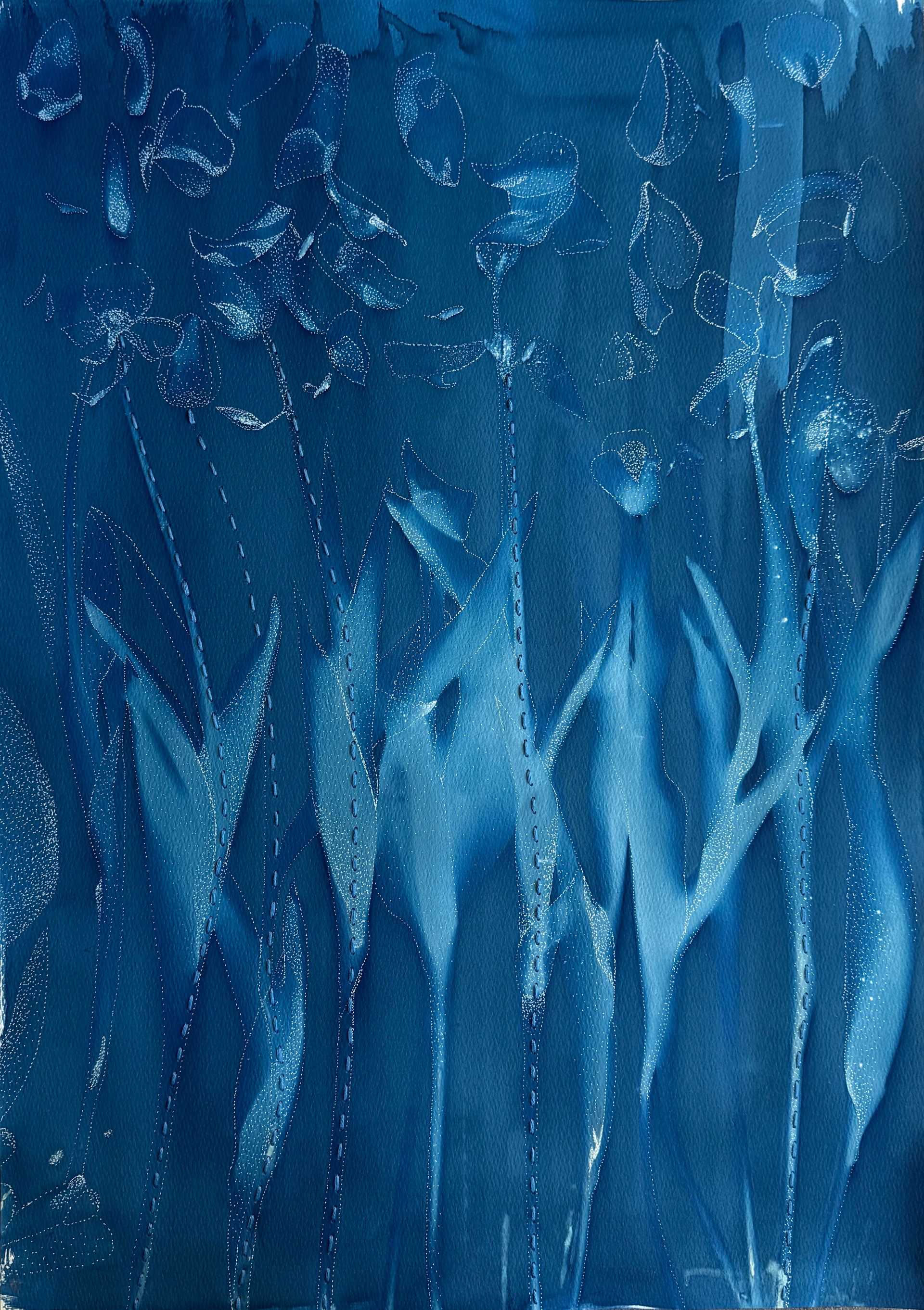 Ольга Ширяева (Авторская графика - 
                  41.9 x 58.8 см) Синие тюльпаны №3