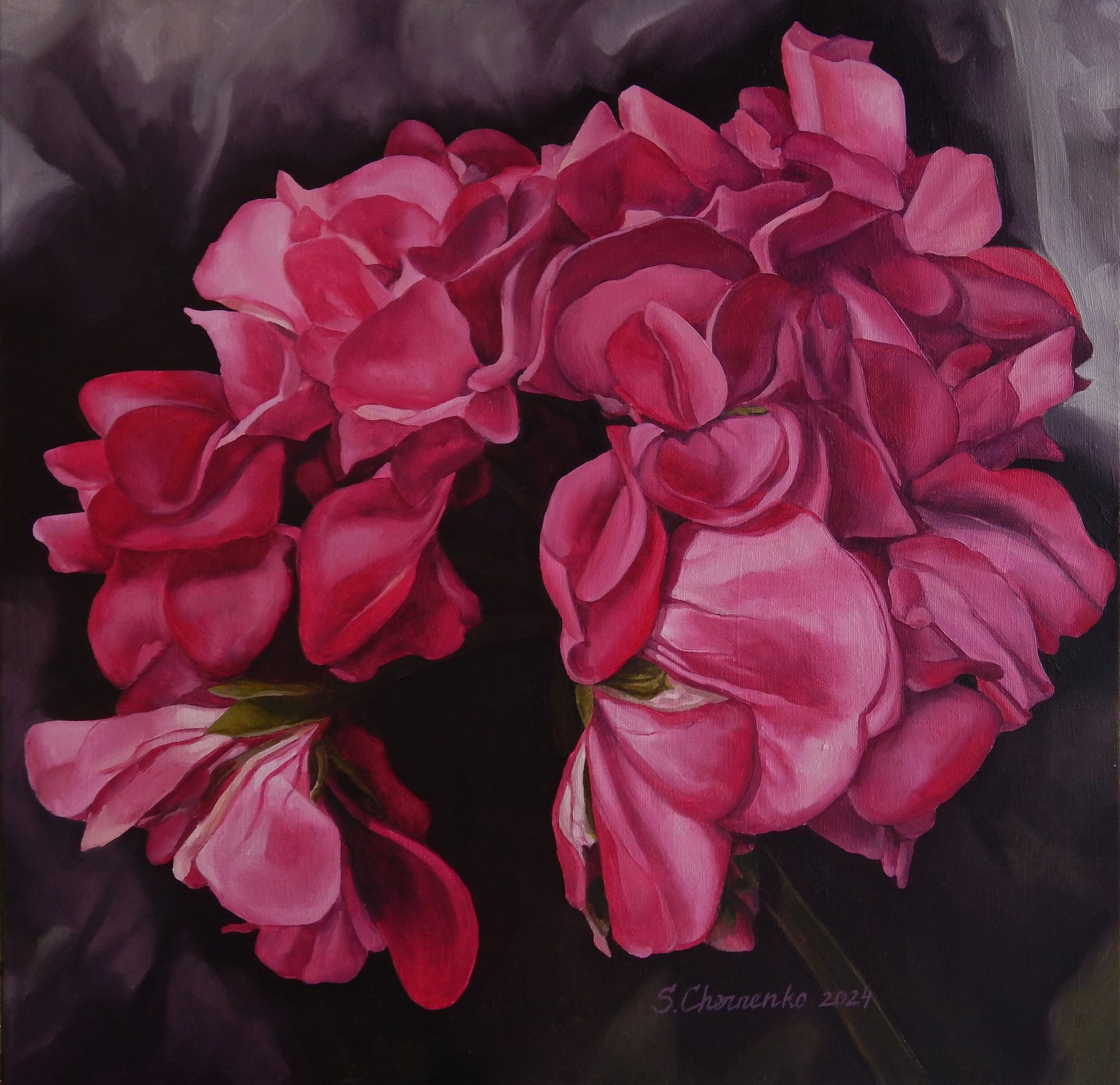 Светлана Черненко (Картина, живопись - 
                  60 x 60 см) Герань