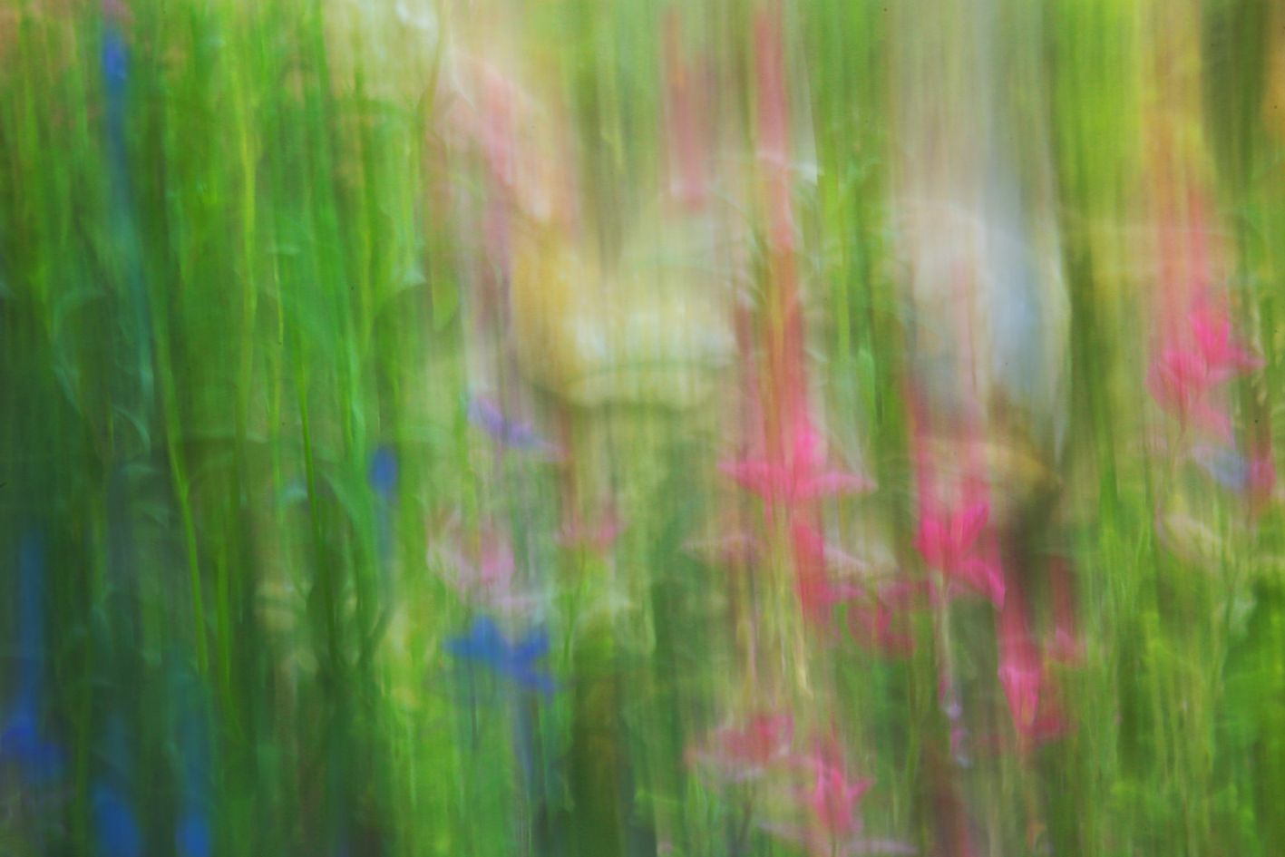 Татьяна Сенчило (Фотография - 
                  100 x 70 см) Из серии "Исчезнуть, замолчать, услышать"