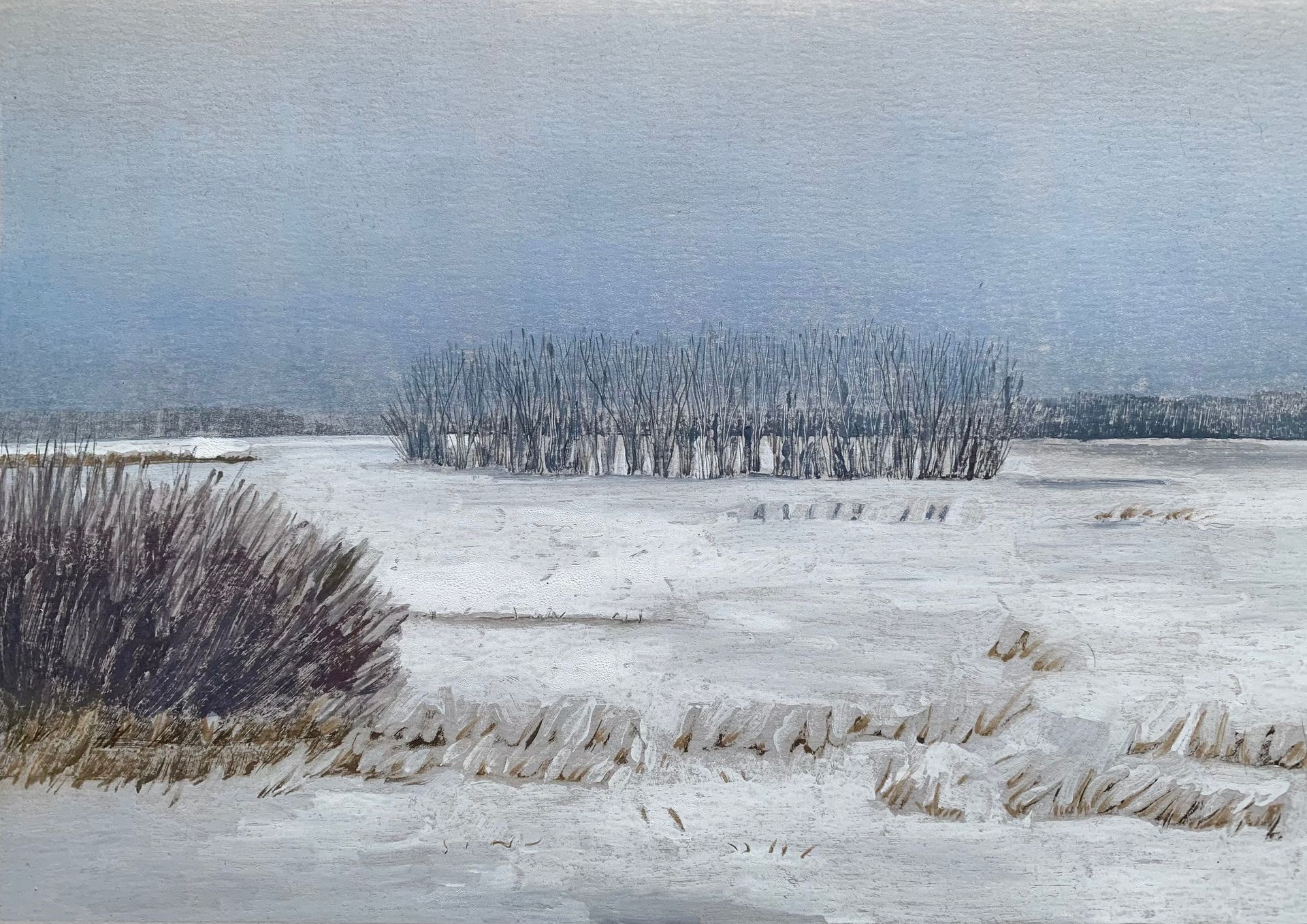 Мария Стадник (Графика печатная - 
                  42 x 32 см) Winter field