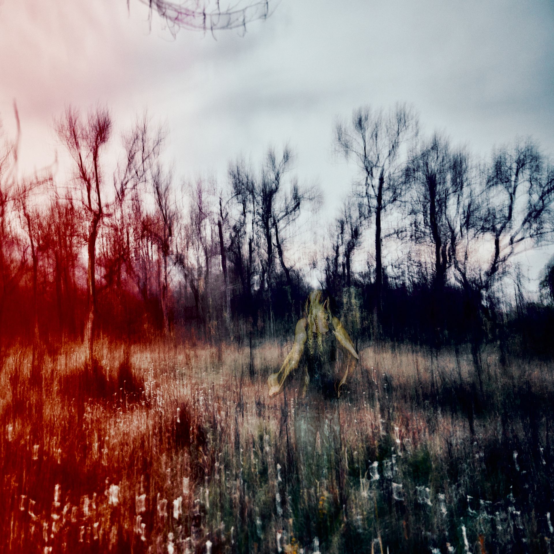 Савелий Харламов (Фотография - 
                  85 x 85 см) Личный Пейзаж