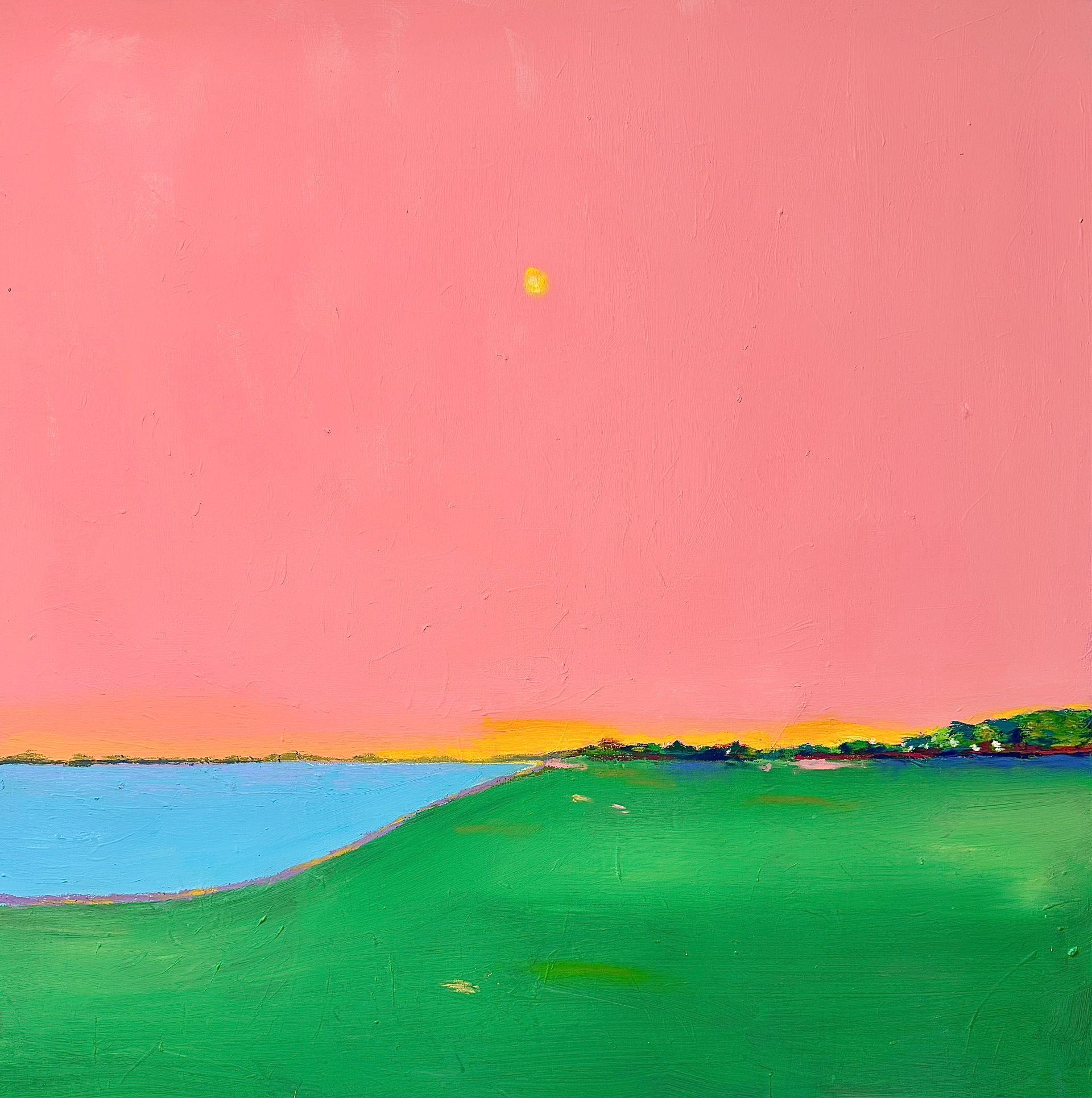 Анна Ганина (Картина, живопись - 
                  100 x 100 см) Pink sky