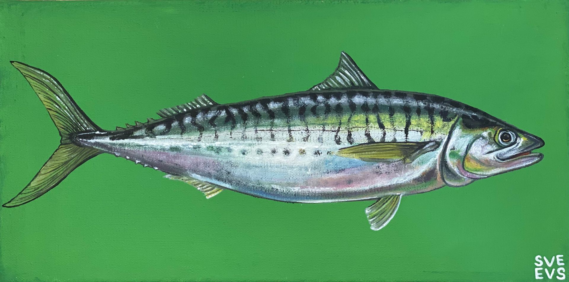 Светлана Евсеева (Картина, живопись - 
                  40 x 20 см) Скумбрия на зеленом фоне