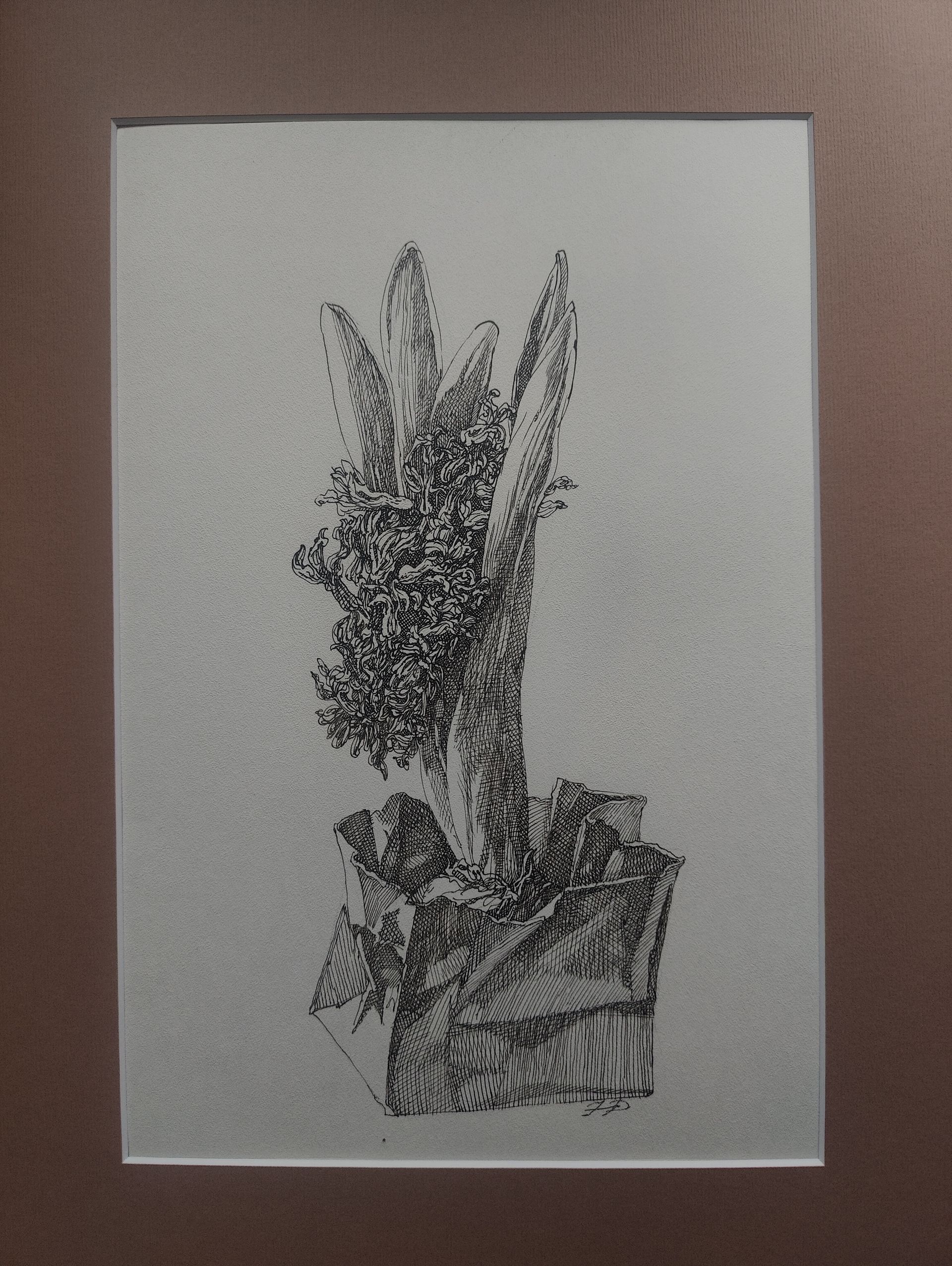 Наталия Рокотова (Авторская графика - 
                  30 x 40 см) Гиацинт