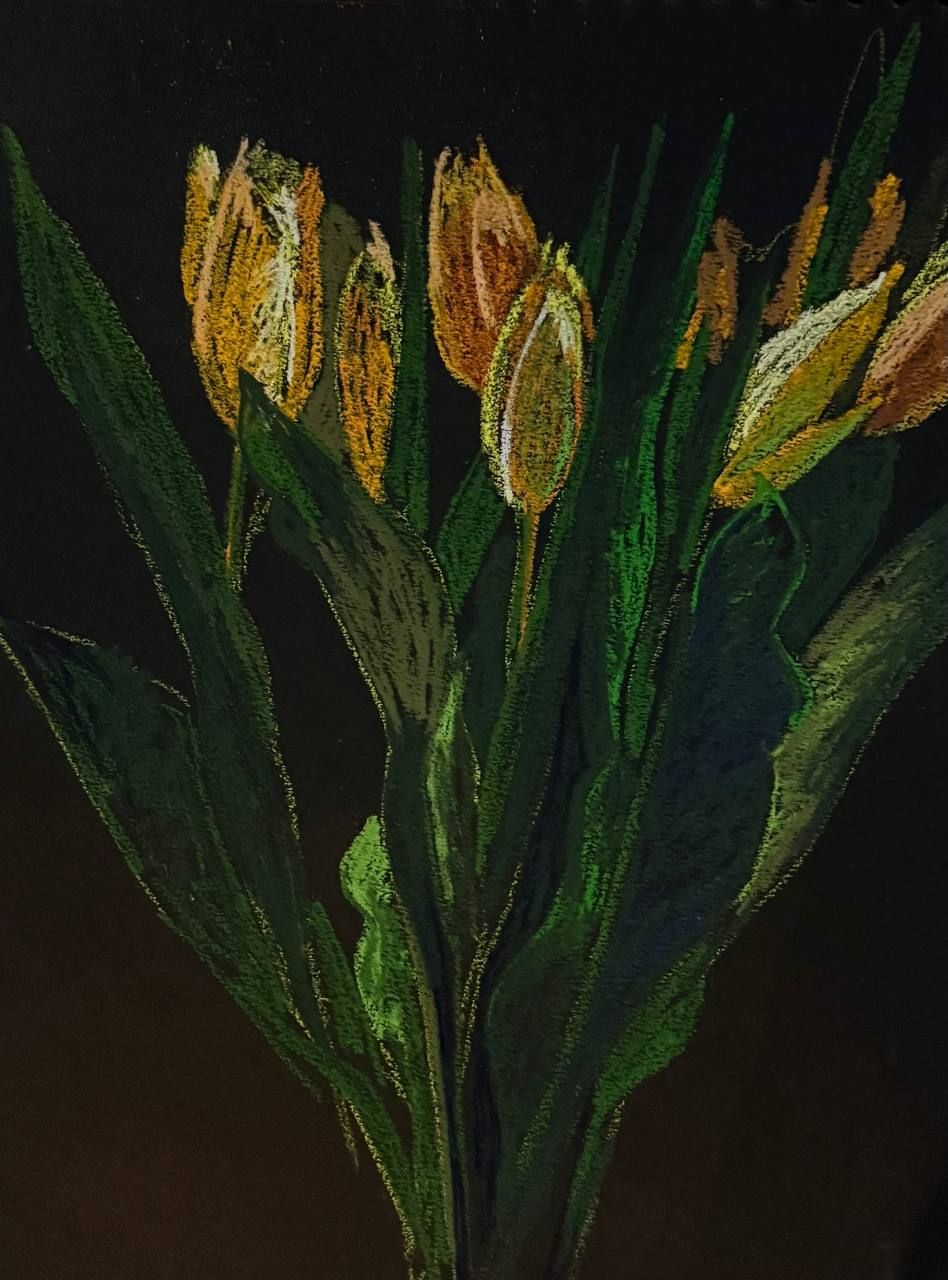 Алена Сокольникова (Авторская графика - 
                  29.5 x 40 см) Тюльпаны