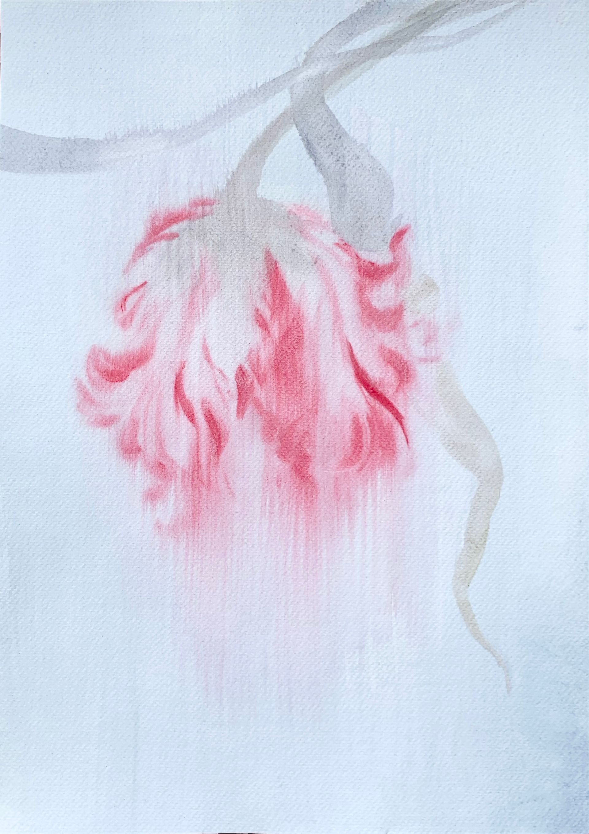 Ульяна Соловей (Авторская графика - 
                  40 x 50 см) Лист / тюльпан II