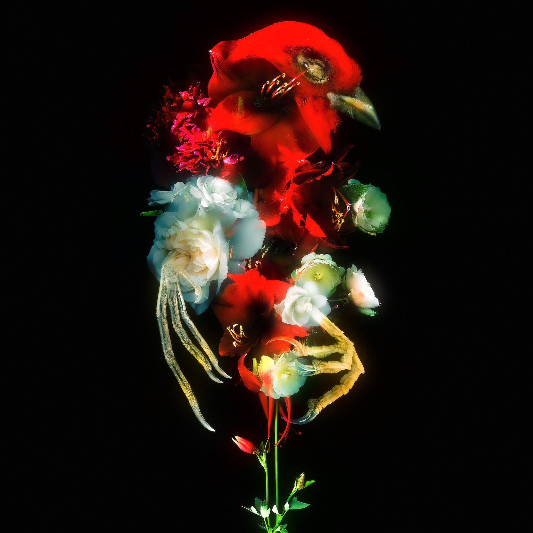 Даниил Макаров (Фотография - 
                  40 x 40 см) Flowers of war I