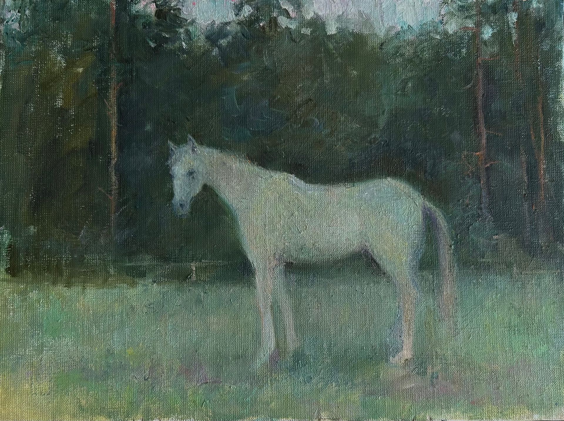 Екатерина Потапова (Картина, живопись - 
                  40 x 30 см) Белая лошадь