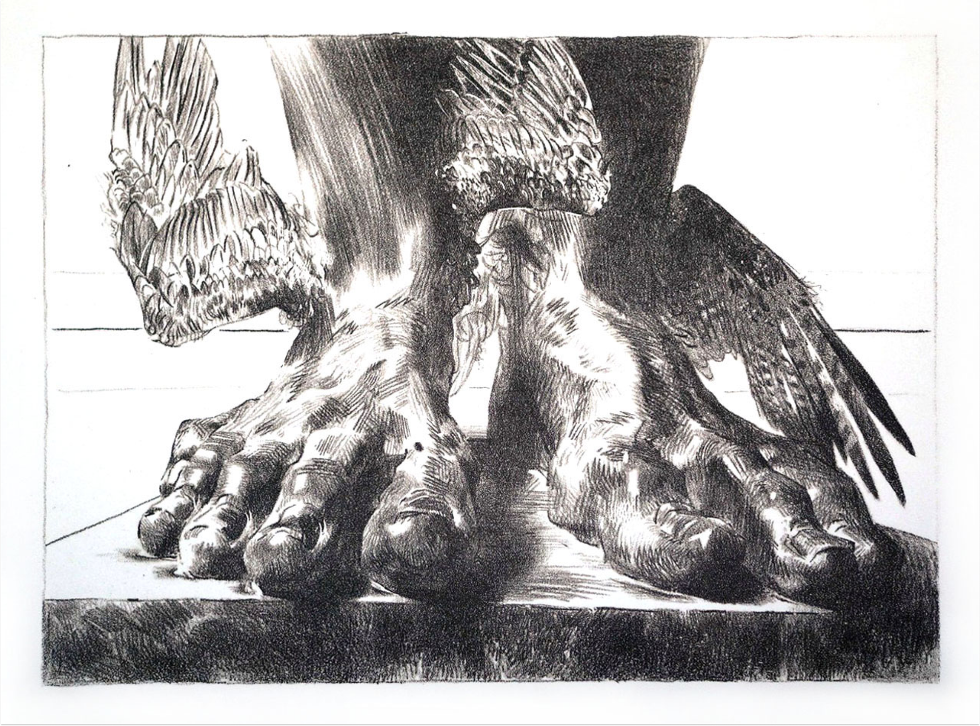 Александр Коряшкин (Графика печатная - 
                  40 x 30 см) Щиколотокрыл