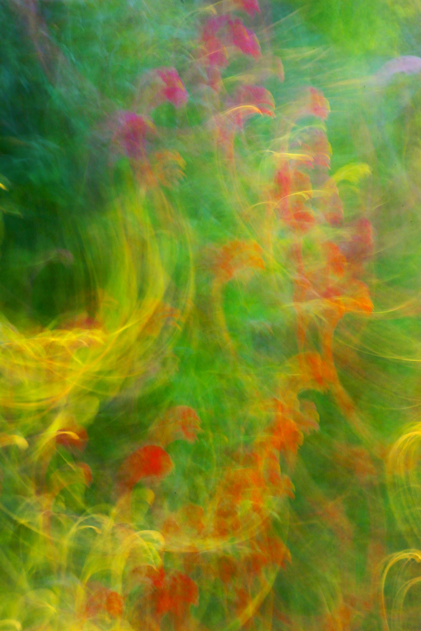 Татьяна Сенчило (Фотография - 
                  70 x 100 см) Из серии "Исчезнуть, замолчать, услышать"