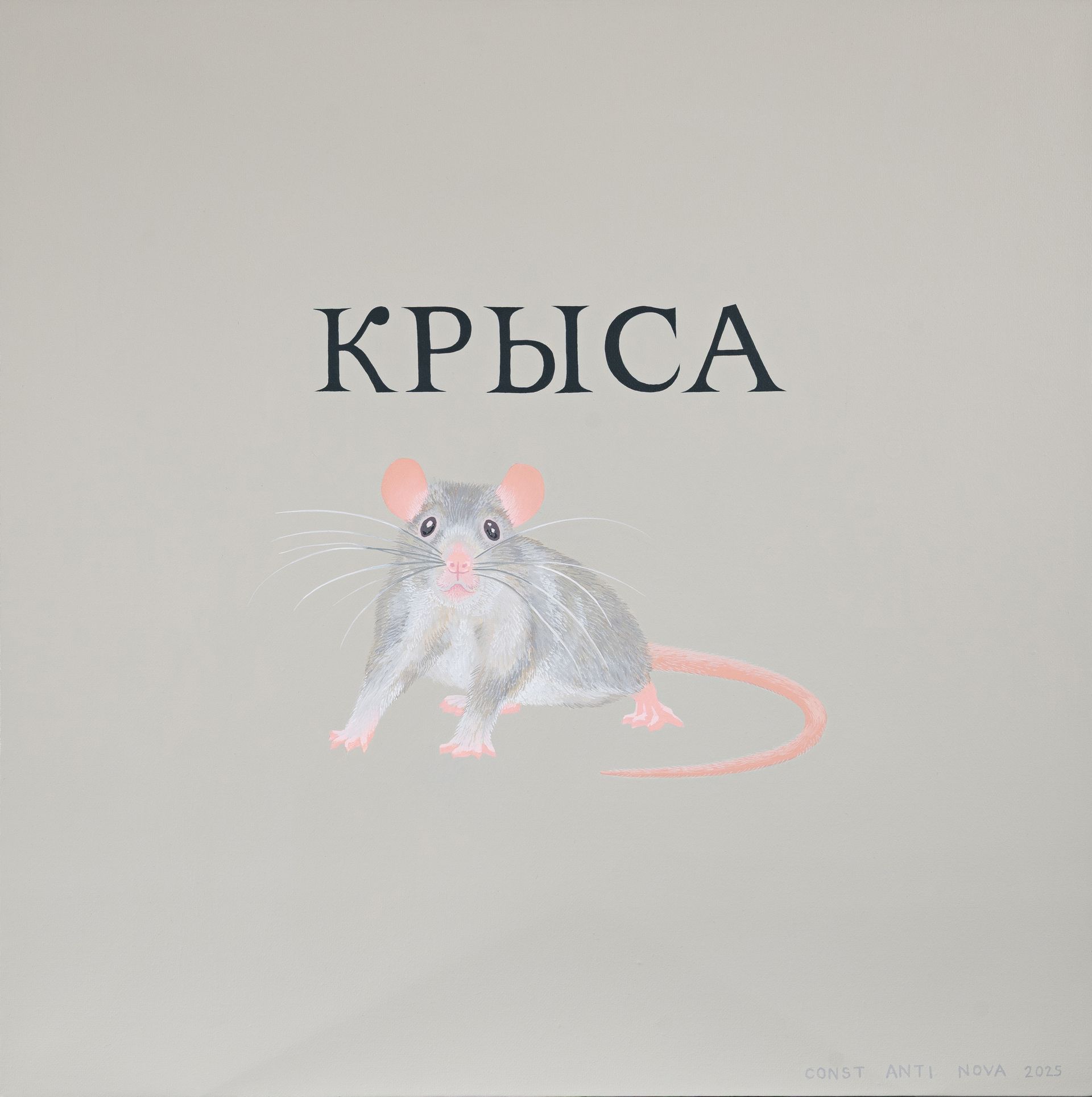 Людмила Константинова (Картина, живопись - 
                  60 x 60 см) Крыса