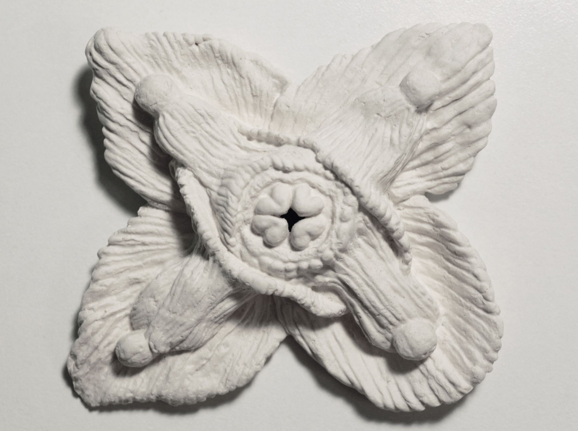 Егор Щаблыкин (Объект - 
                  11 x 11 см) Epimedium (Цветок эльфов)