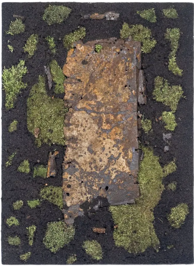 Ян Тихоненко (Объект - 
                  55 x 75 см) Soil artwork series, 3