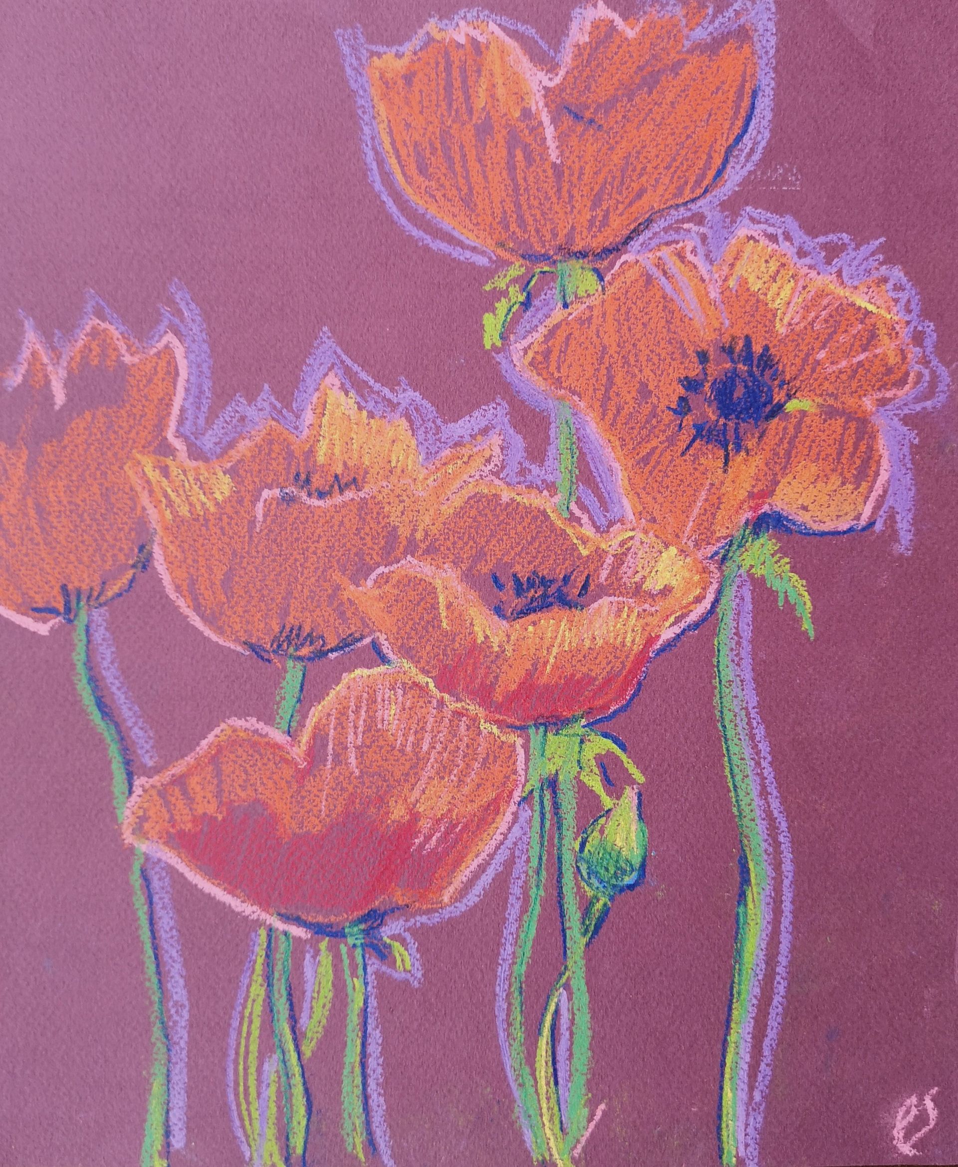 Елена Санина (Авторская графика - 
                  25 x 30 см) Маки