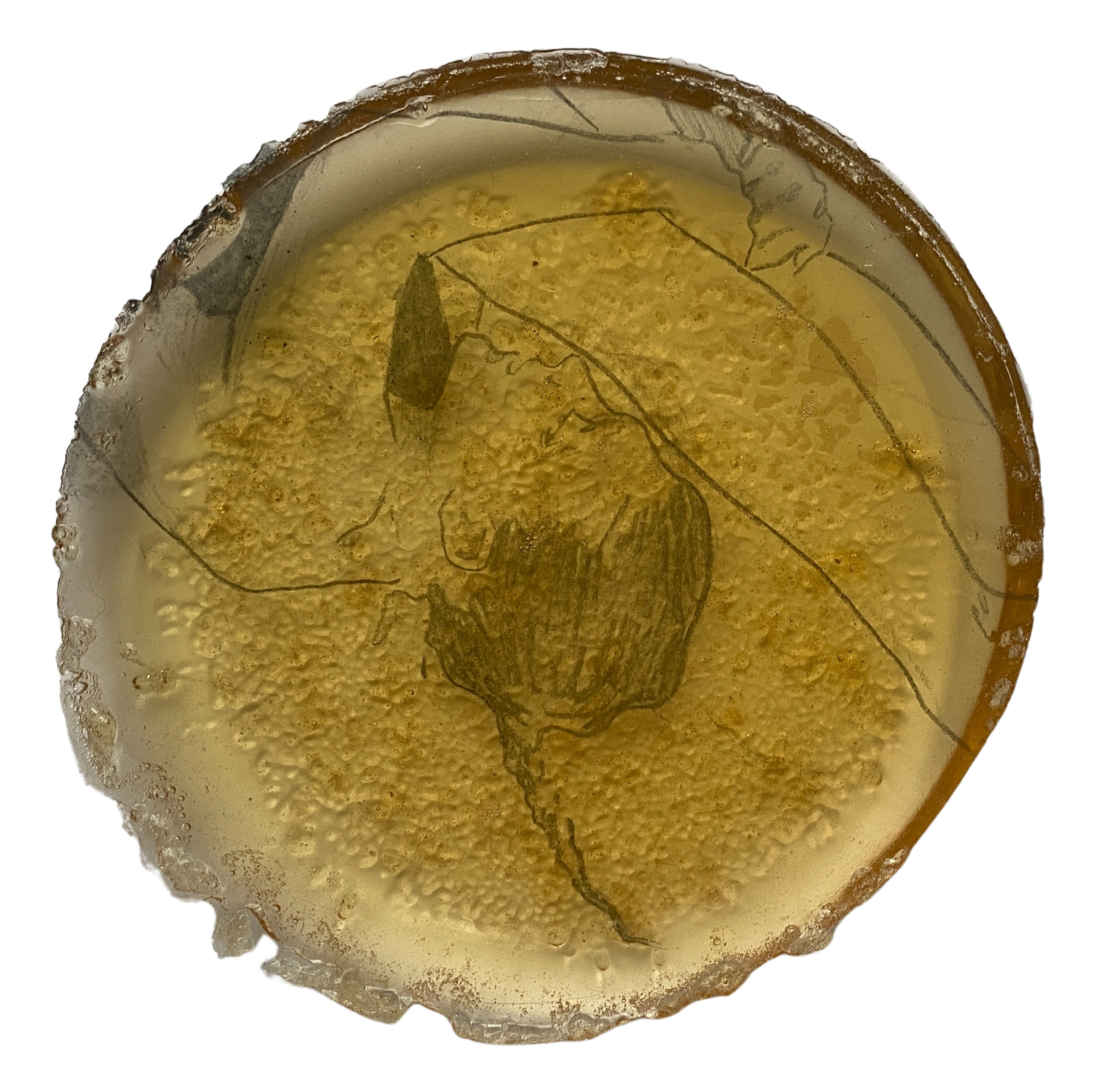 Надежда Воронцова (Объект - 
                  14 x 14 см) Желе 4