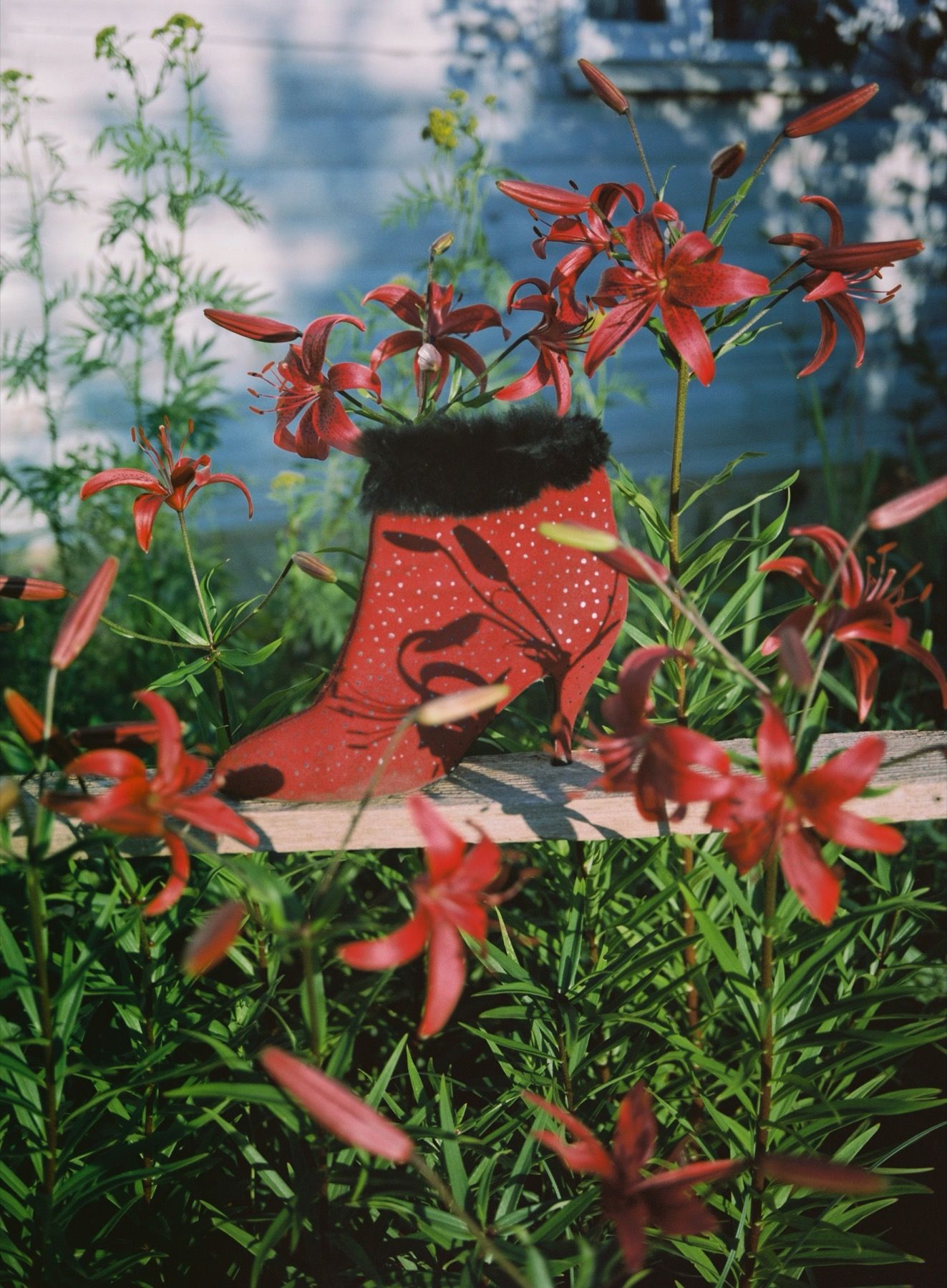 Жанна Татарова (Фотография - 
                  30 x 45 см) Жанна Татарова На память IV. 30х45