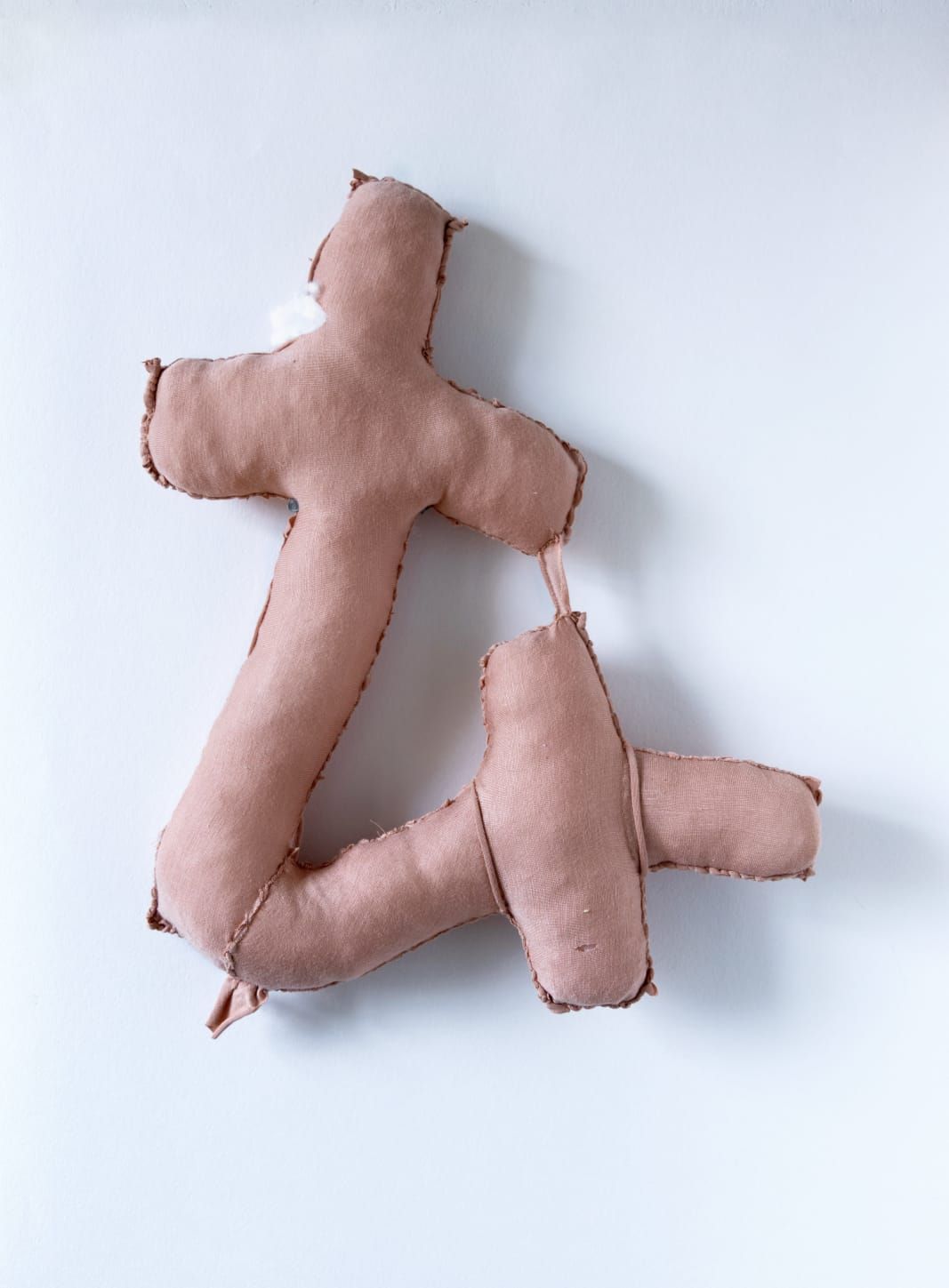 Василиса Палянина (Объект - 
                  43 x 45 см) Из серии "Вот те крест"