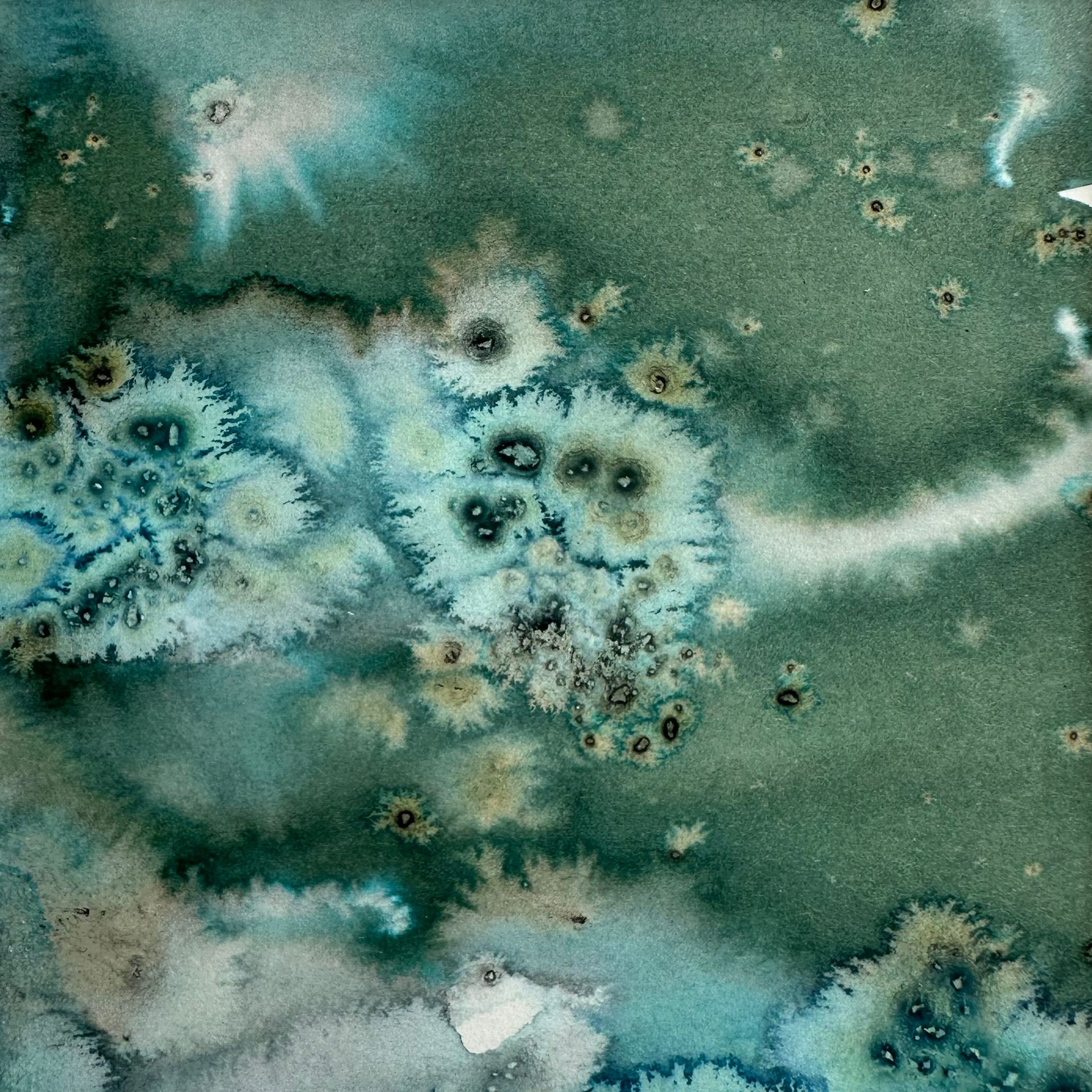 Анастасия Попова (Авторская графика - 
                  30 x 30 см) Морское, часть III