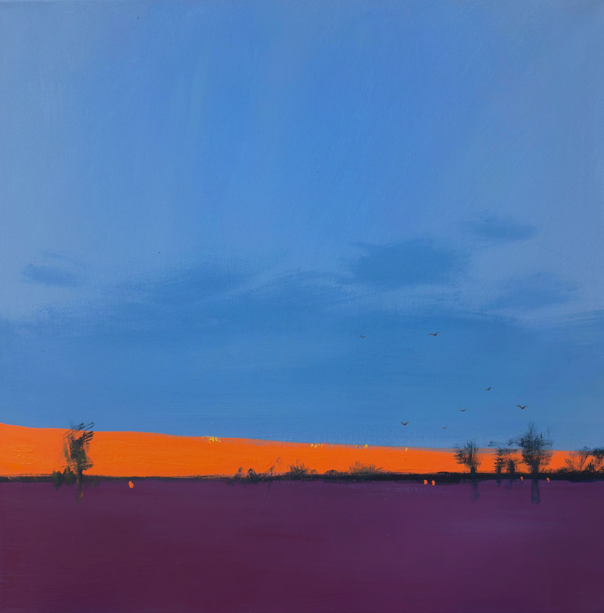 Анна Ганина (Картина, живопись - 
                  50 x 50 см) Quiet sunset
