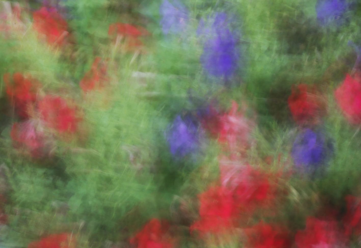 Татьяна Сенчило (Фотография - 
                  100 x 70 см) Из серии "Исчезнуть, замолчать, услышать"